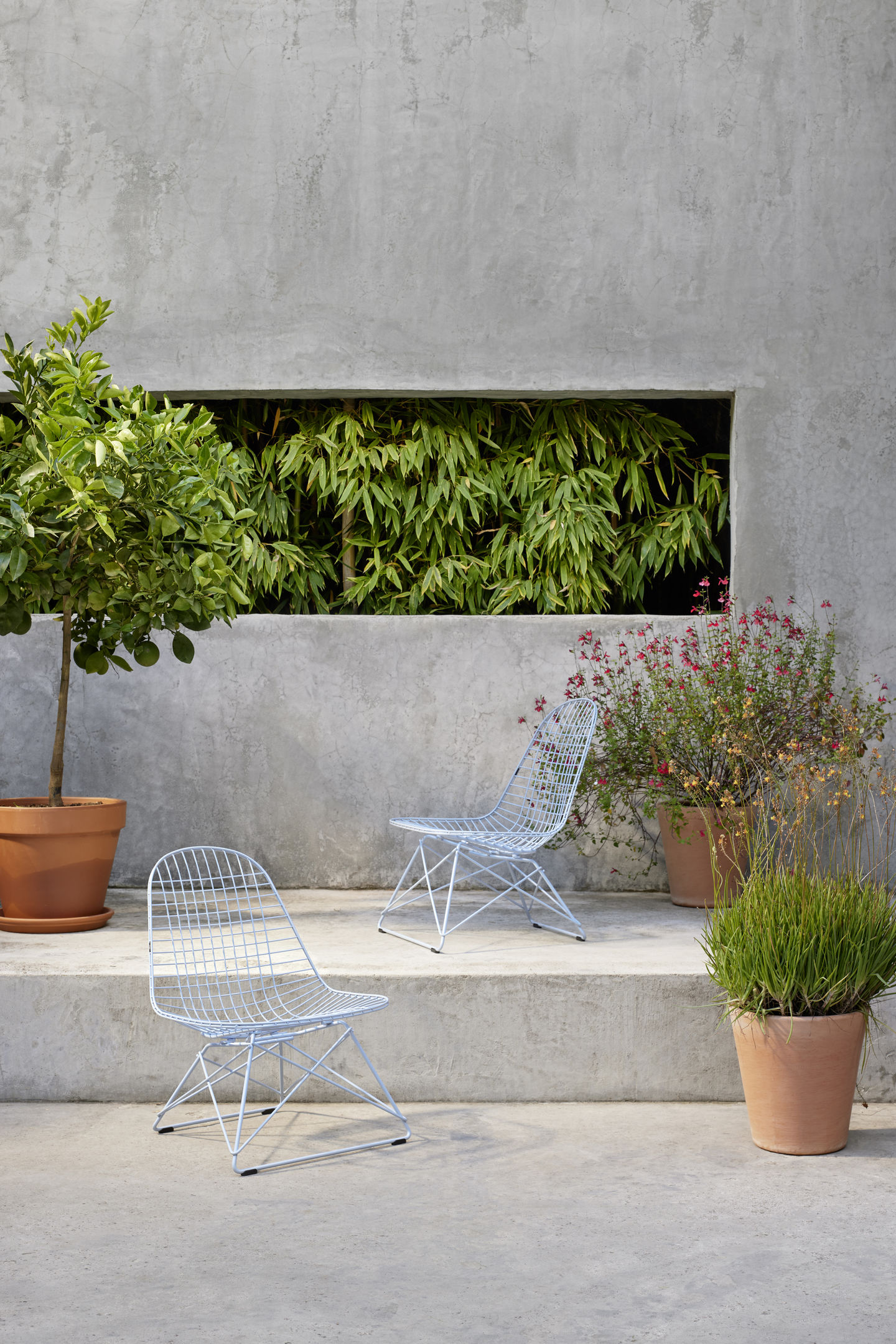 Zwei moderne Vitra Wire Chairs im Außenbereich, minimalistisches Design mit Pflanzen und Betonwand.