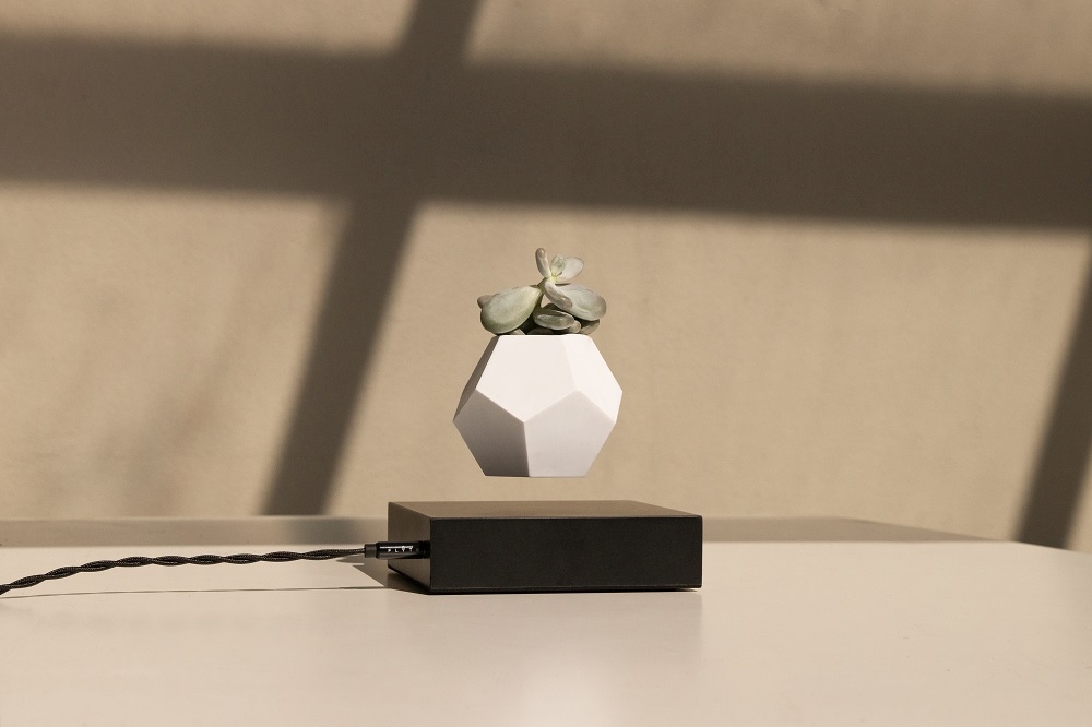 Lyfe floating Vase Klein & More Maple black SINGLE PIECES