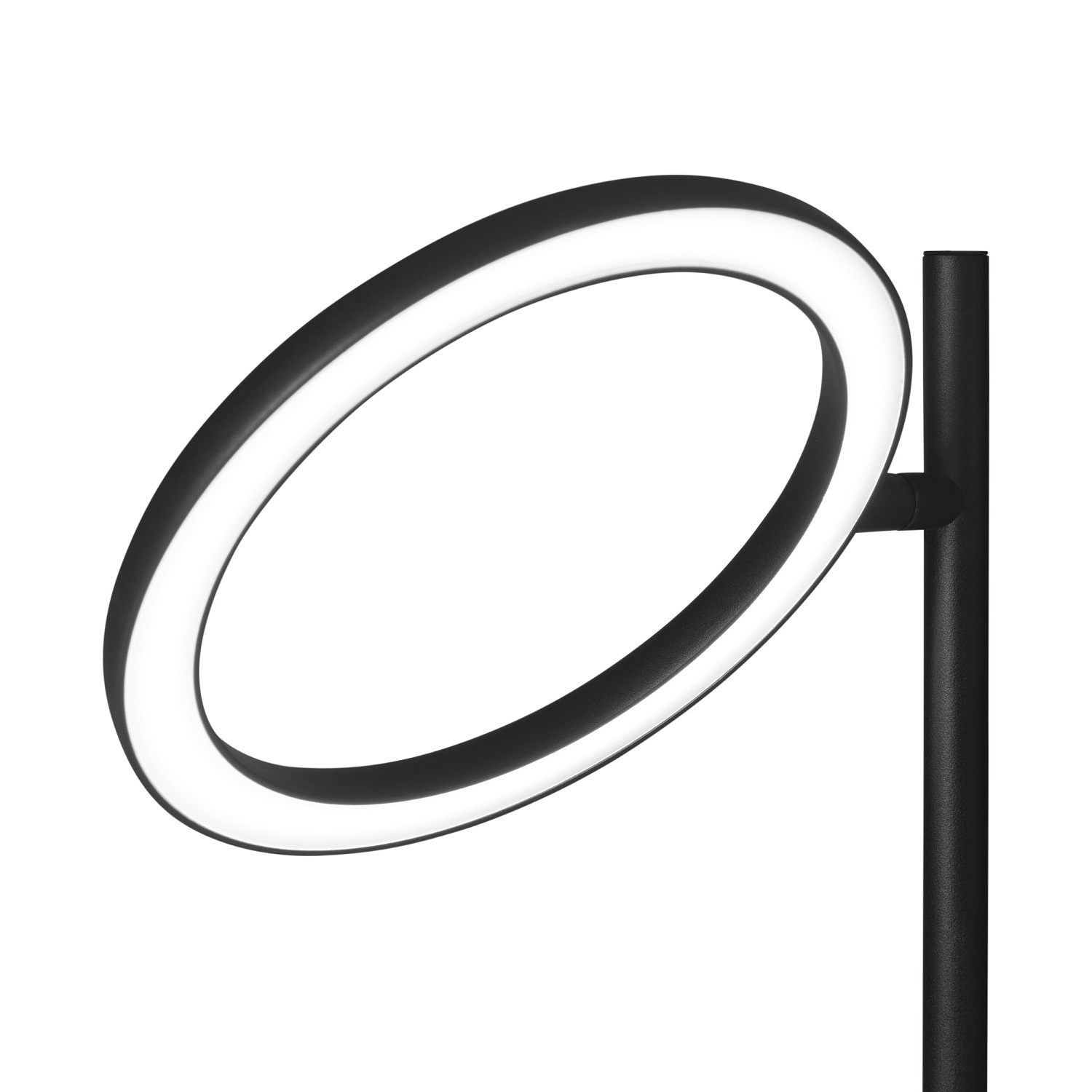 Echo Small Table Table lamp Japth