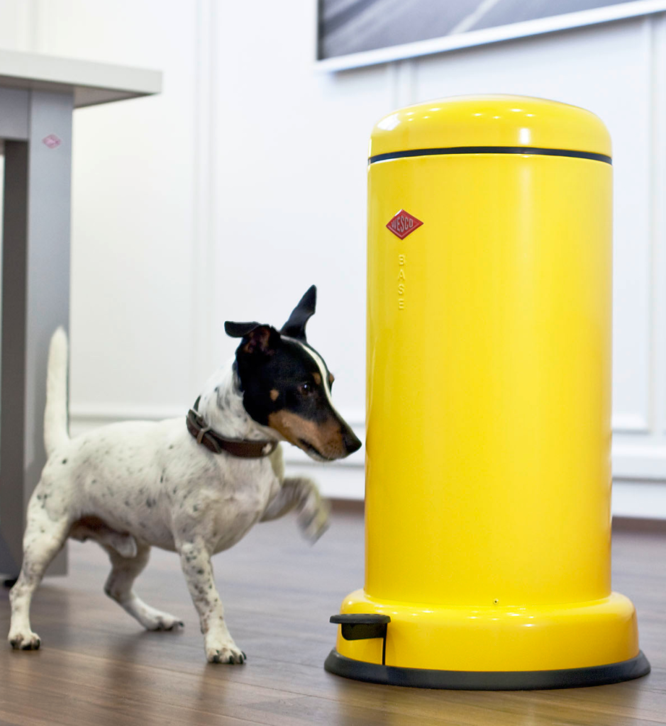 Baseboy 20 liter garbage can Wesco