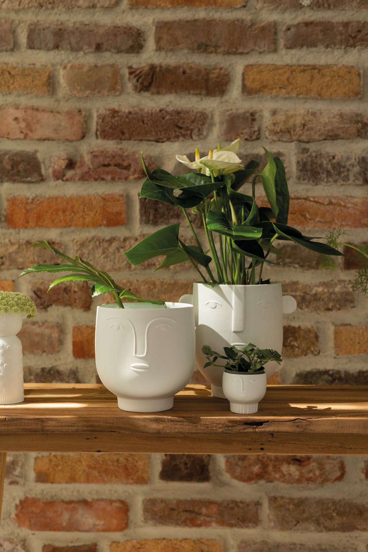 Naturgestalten planter Floris wheels