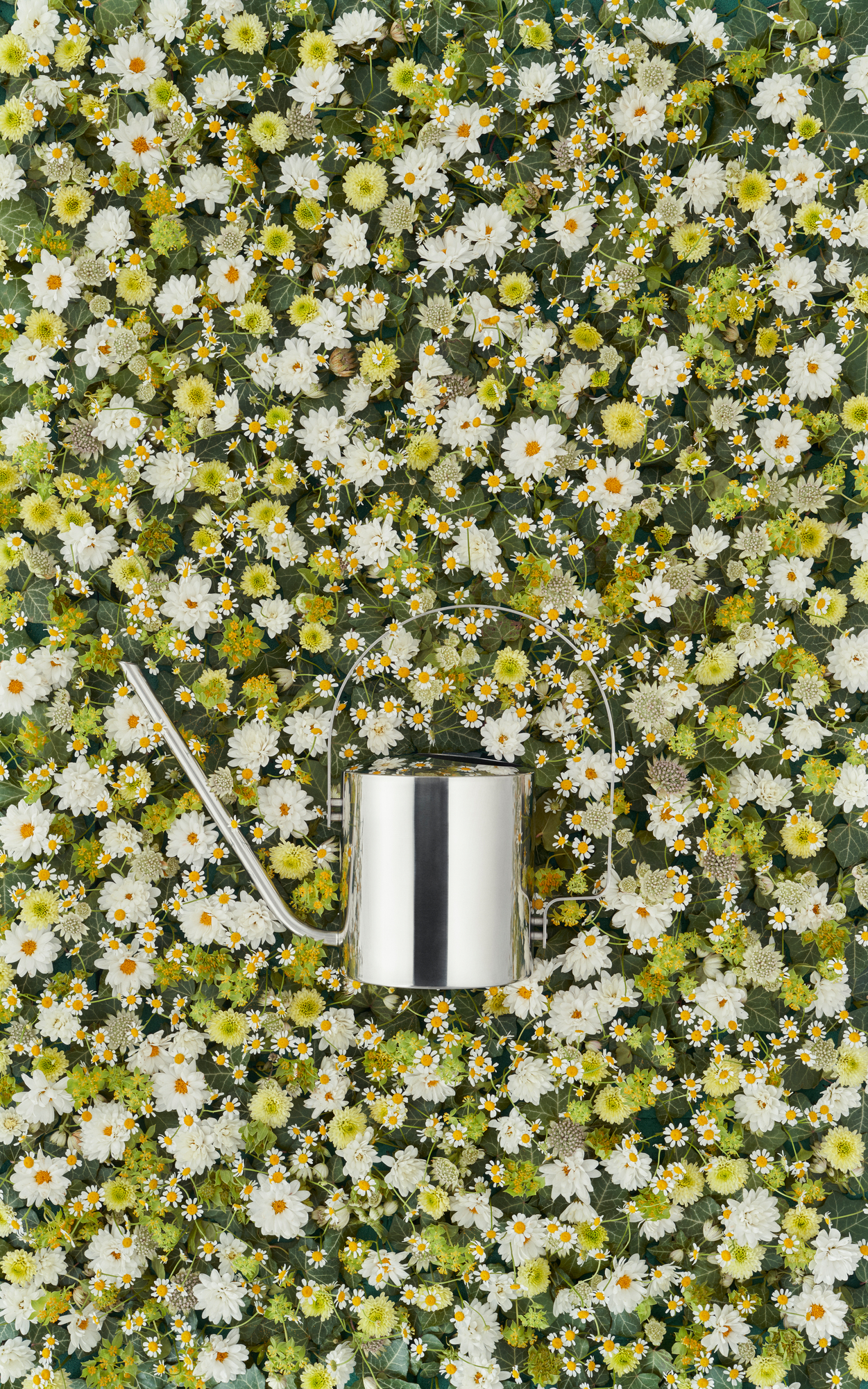 Original Flower Watering Can Stelton SINGLE PIECES