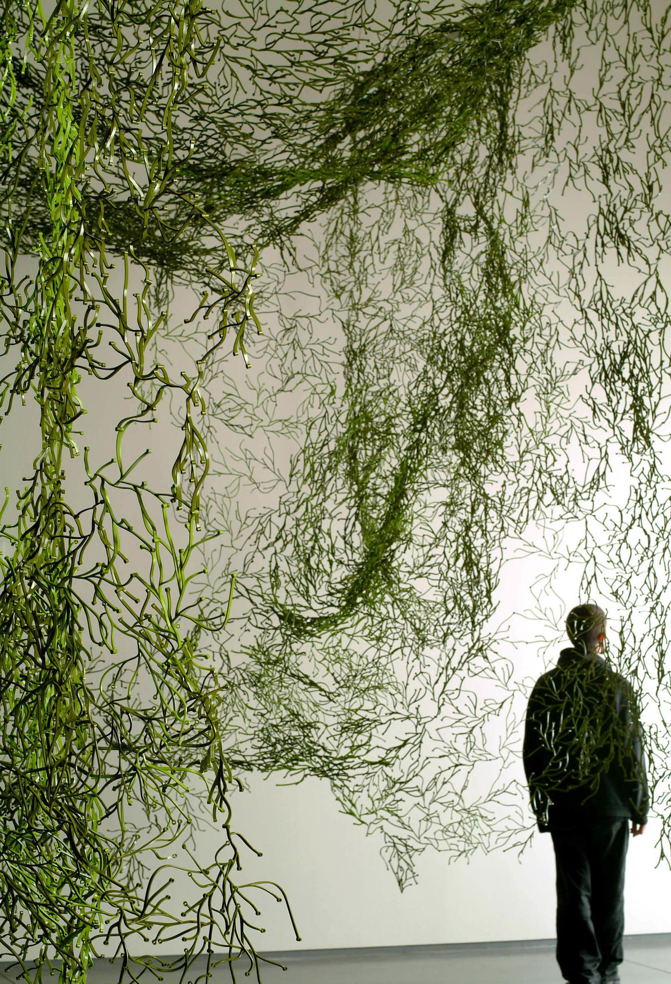 Algue Partition /Algae decorative elements Vitra