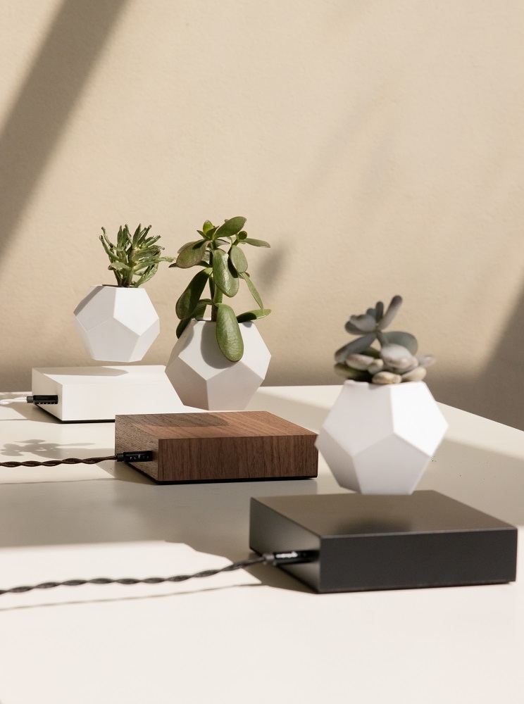 Lyfe floating Vase Klein & More Maple black SINGLE PIECES