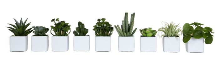 Phoenix Mini Succulent Cube Pots Set of 9 White Artificial Plant Tanaman  