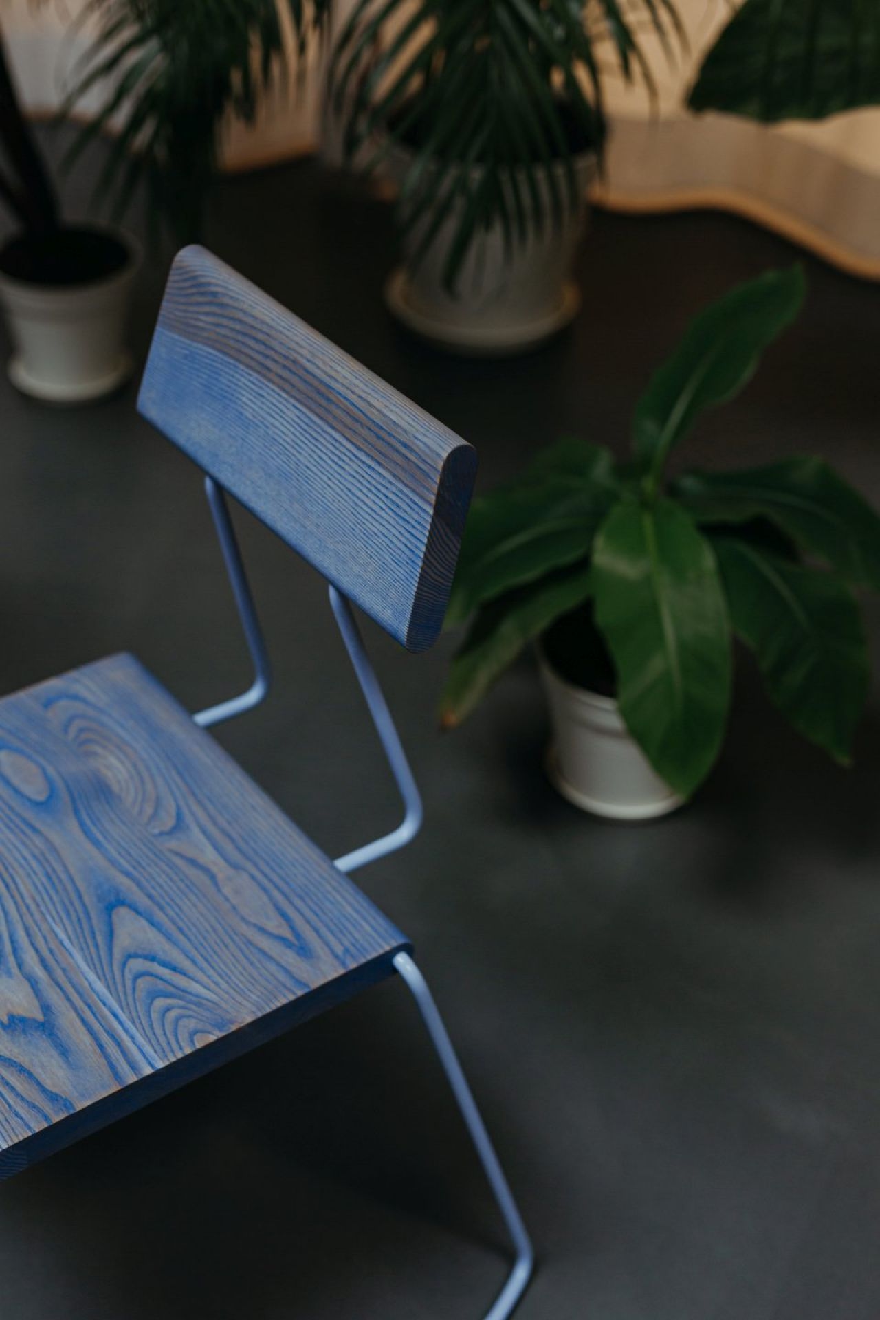 D:005 Chair Fuchs & Habicht