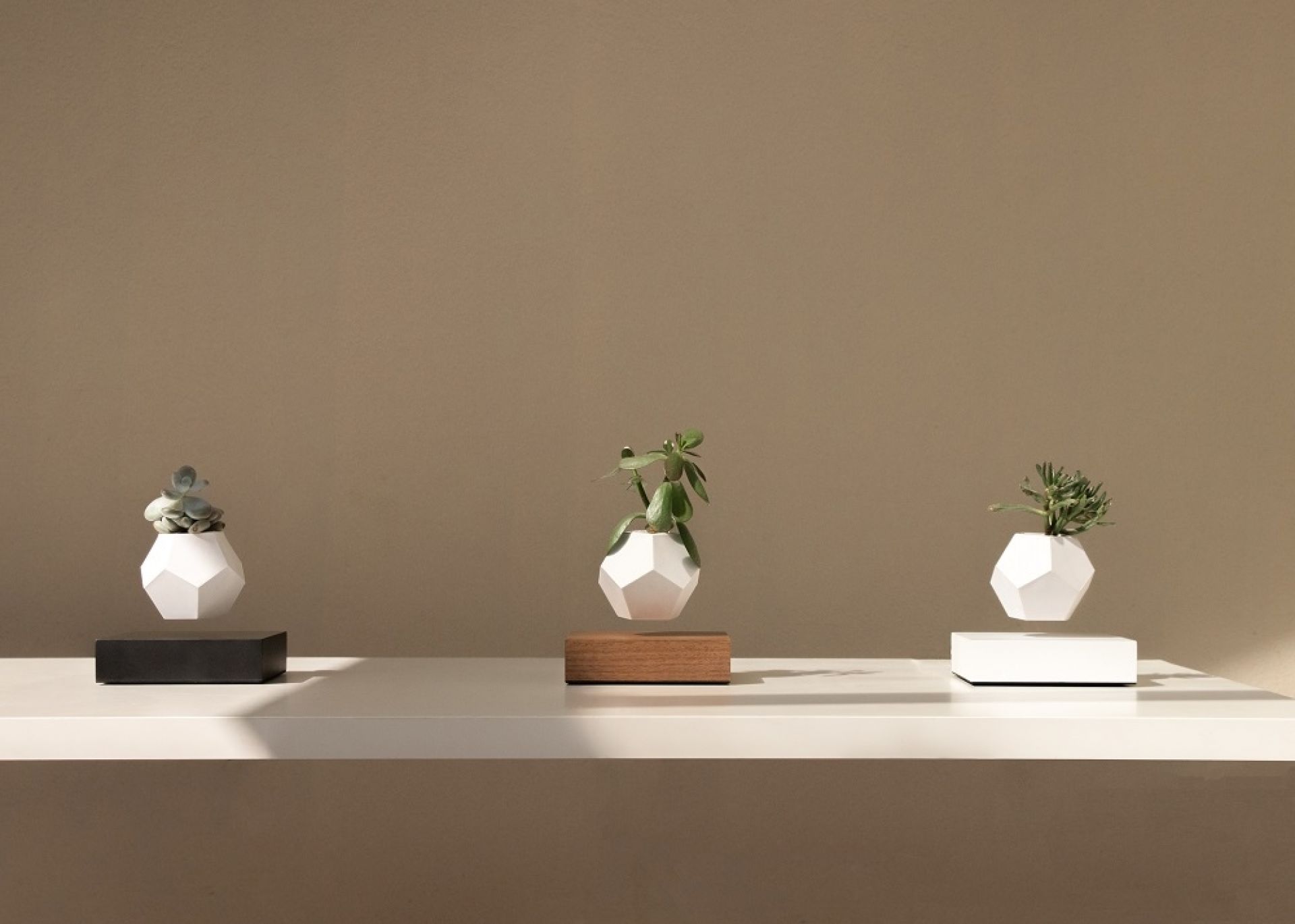 Lyfe floating Vase Klein & More Maple white SINGLE PIECES