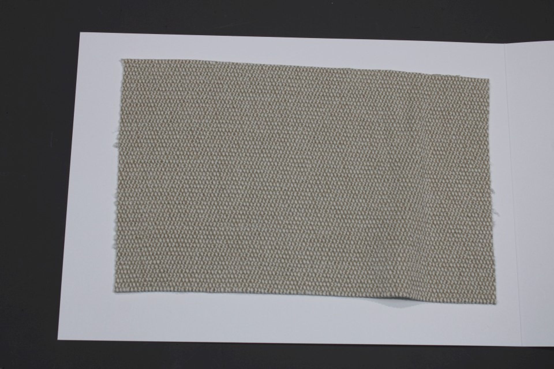 Fabric Sample Card Group 91 Cor