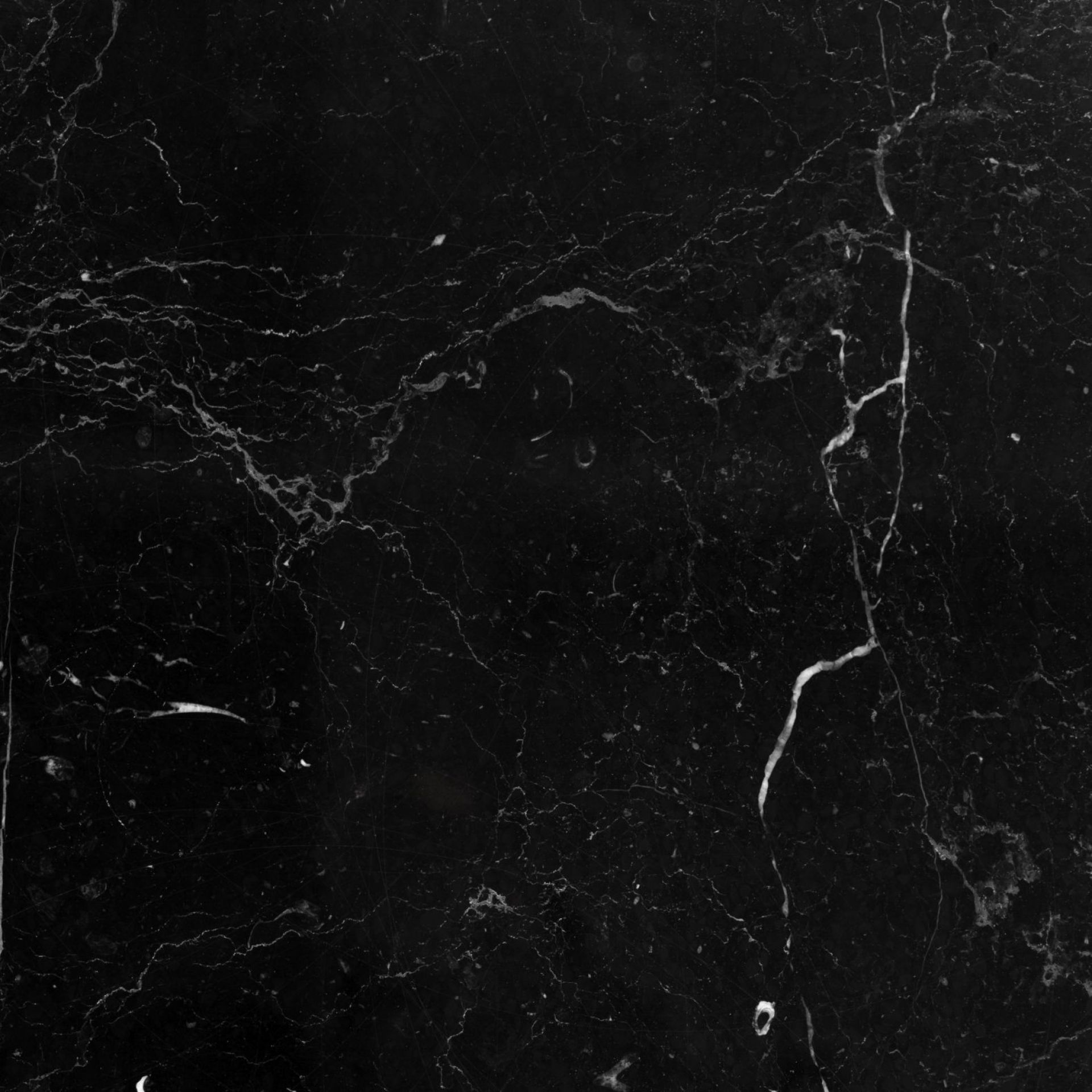 Network Coffee Table black Favius