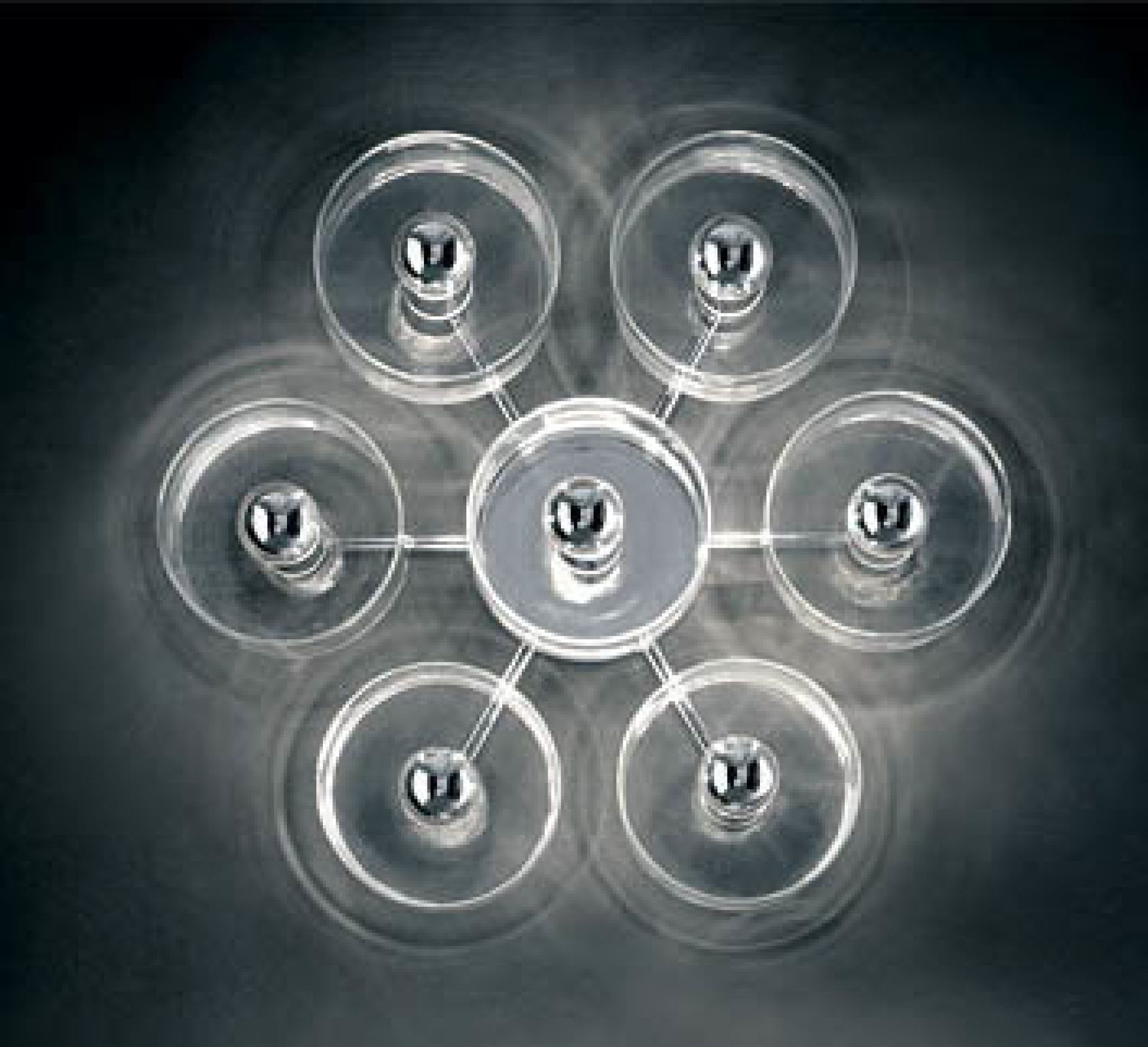 Fiore 173 Wall / ceiling lamp Oluce