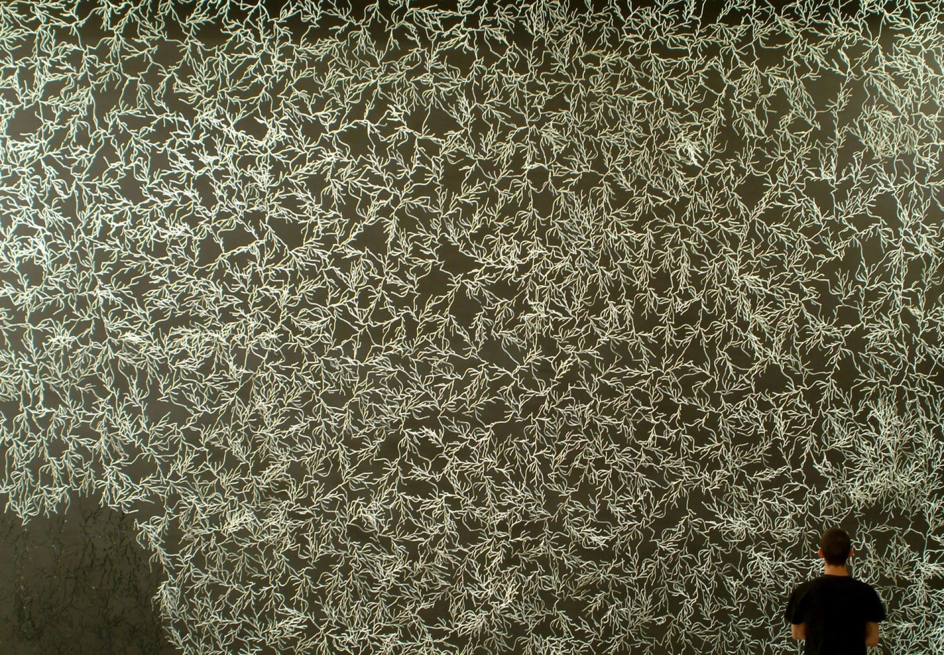 Algue Partition /Algae decorative elements Vitra