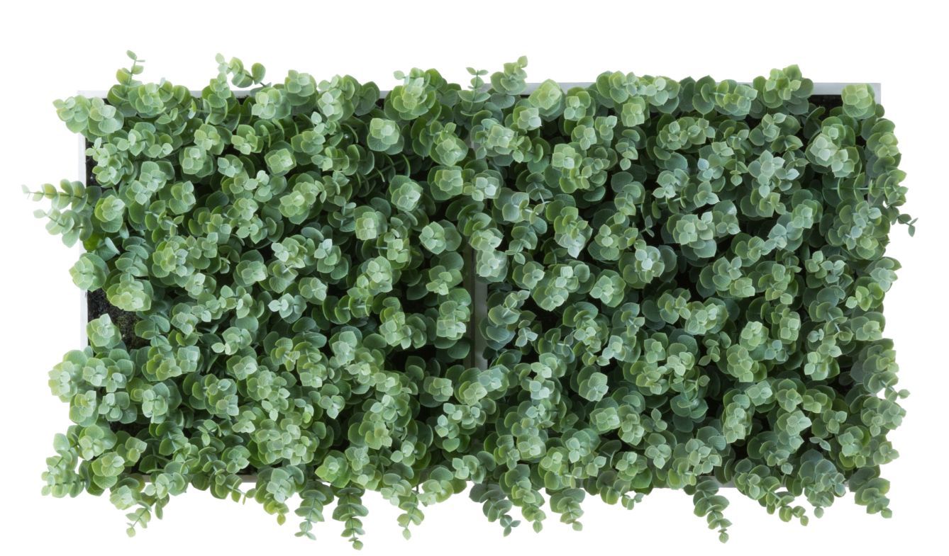 Copenhague Eucalyptus Framework (Plant Frame) Artificial Plant Tanama 