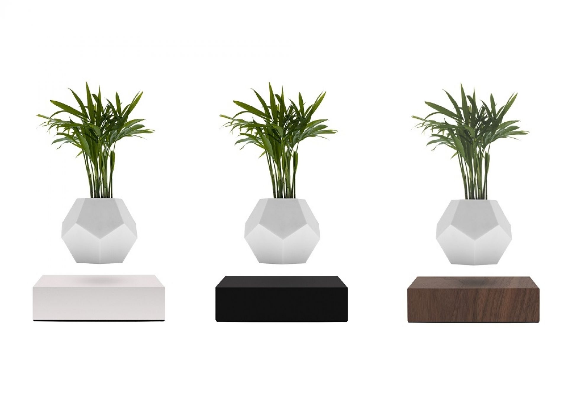 Lyfe floating Vase Klein & More Maple white SINGLE PIECES