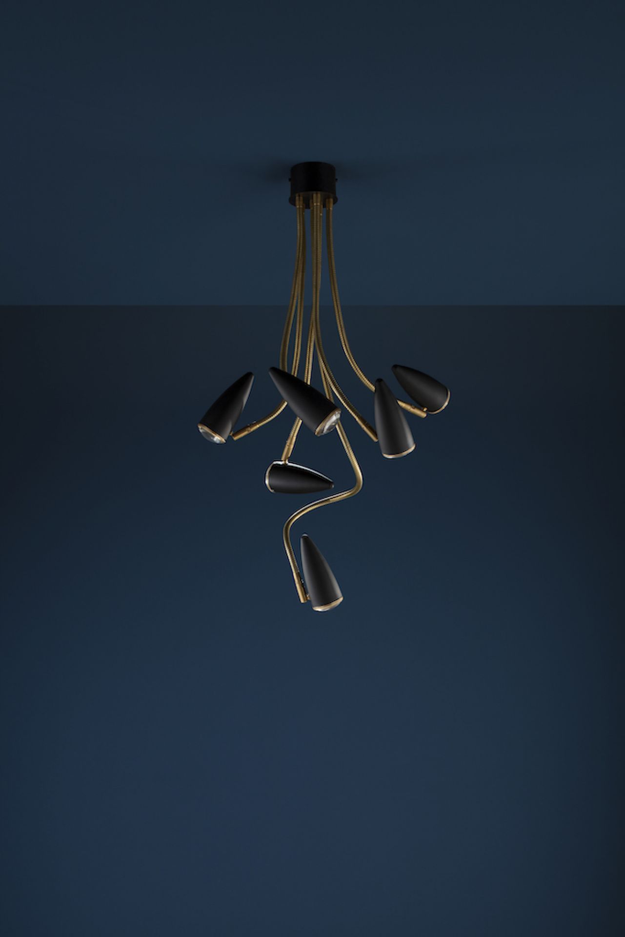 CicloItalia Flex C6 Ceiling Lamp Catellani & Smith