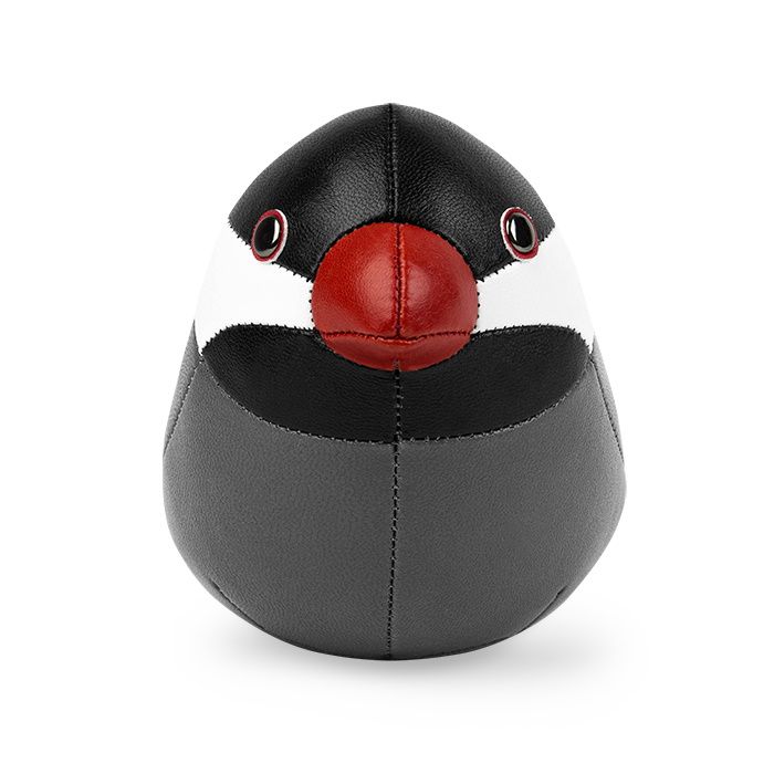 Java Sparrow paperweight black Züny