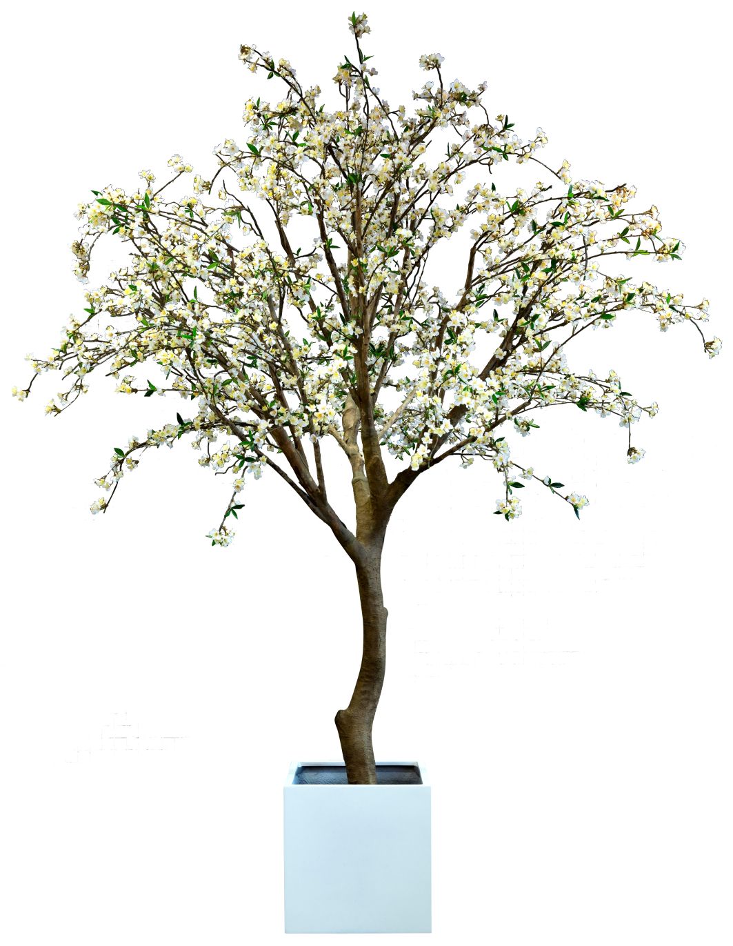 Taiga Cherry Tree 290 (Cherry Tree) artificial plant Tanaman