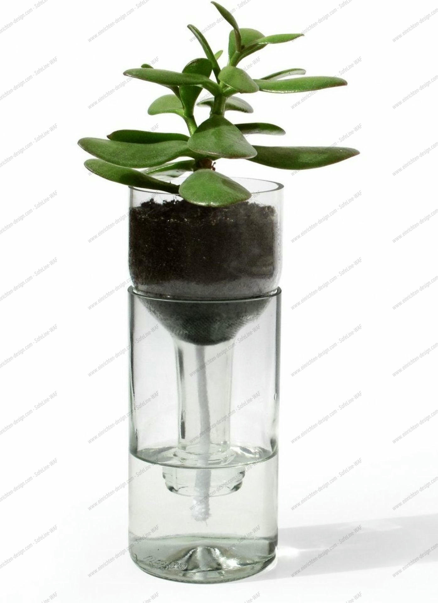 Self Watering Bottle Side by Side white SINGLE PIECES