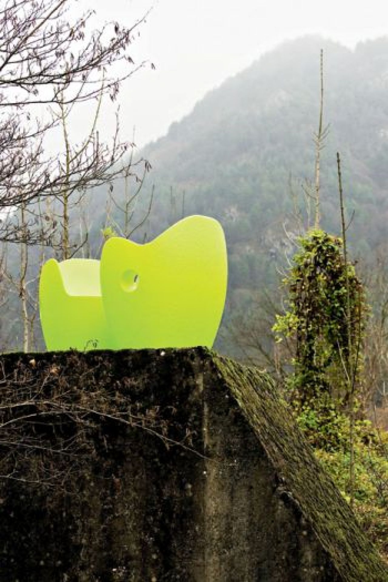 O-Nest Armchair cedrus Moroso