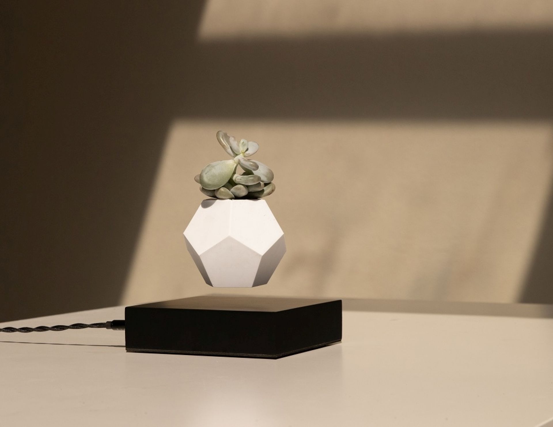 Lyfe floating Vase Klein & More Maple black SINGLE PIECES