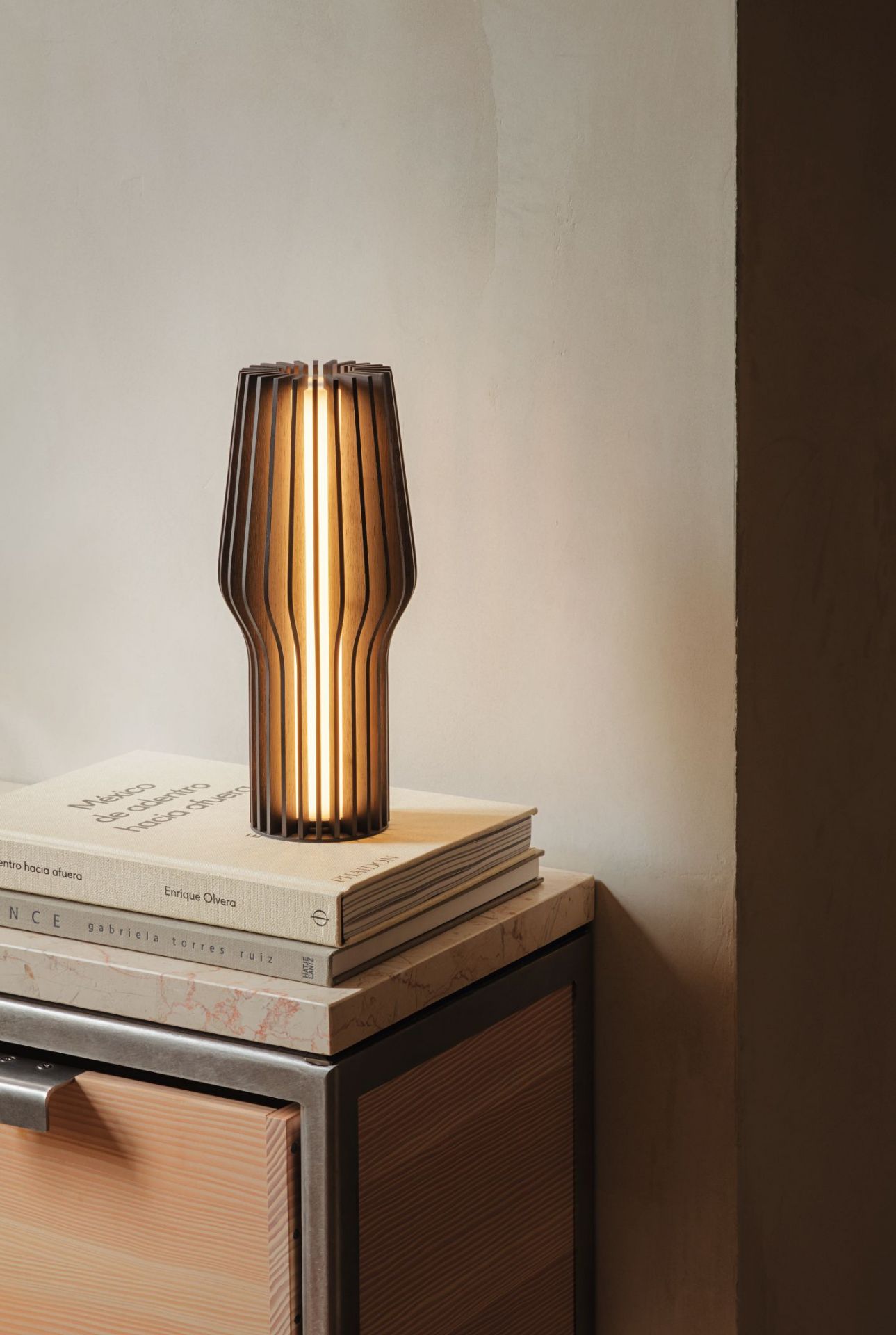Radiant Cordless LED Light smoked Oak Eva Solo SINGLE PIECES
