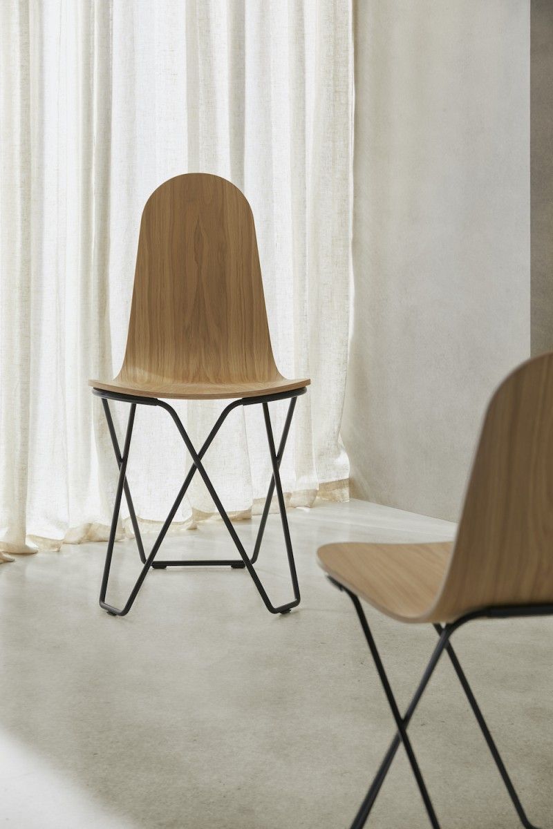 Cactus chair Cuero