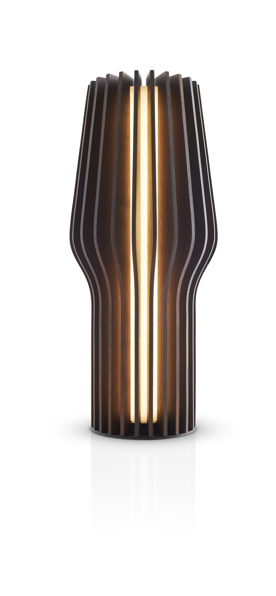 Radiant Cordless LED Light smoked Oak Eva Solo SINGLE PIECES