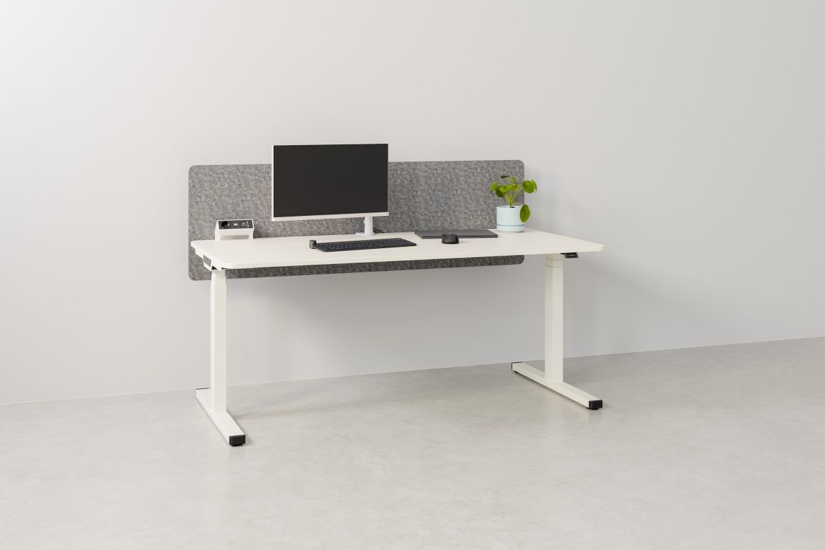 Moderner, höhenverstellbarer Palmberg Schreibtisch mit PC, Tastatur, Maus und Pflanze für ein ergonomisches Büro.
