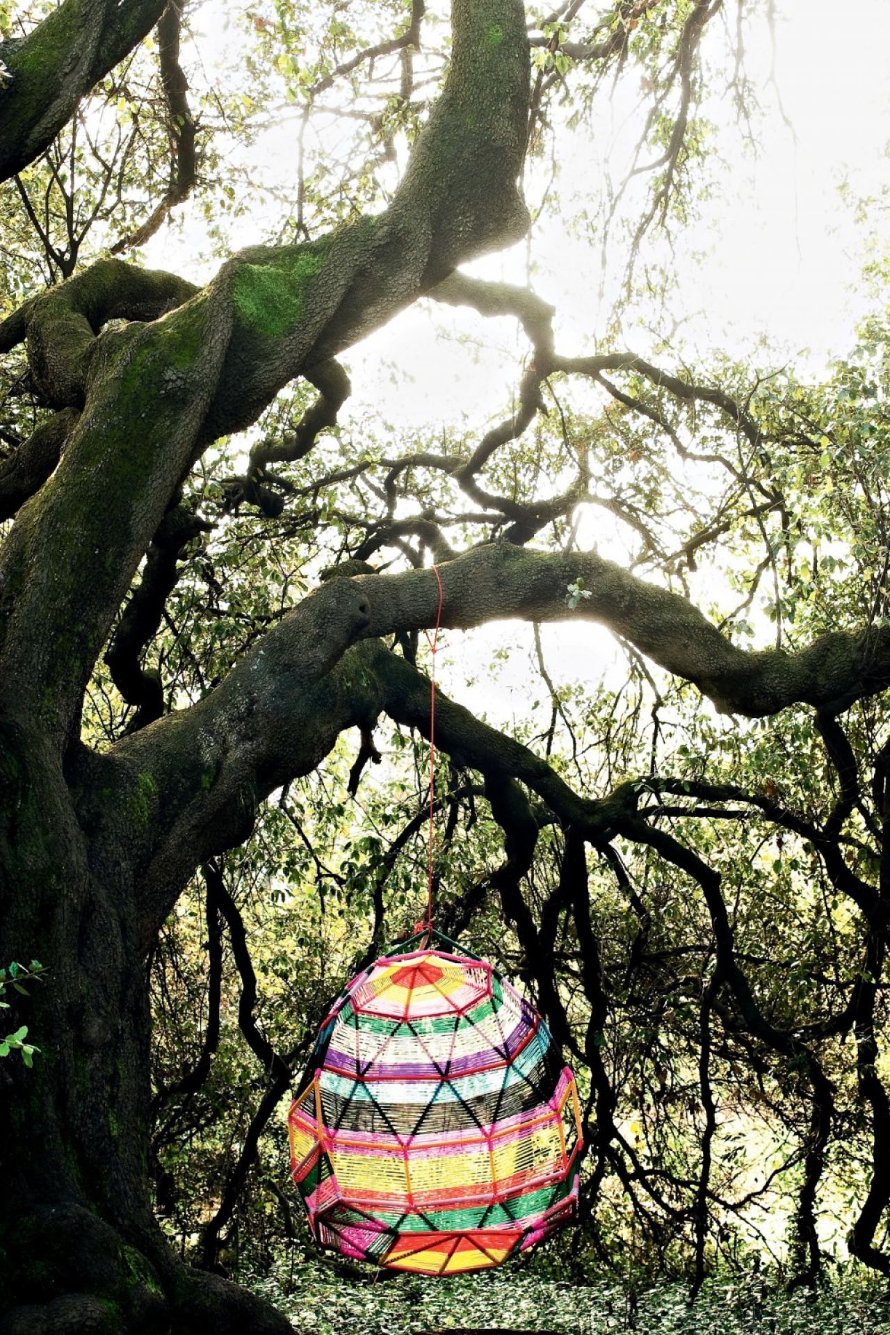 Tropicalia Cocoon swinging nest Moroso