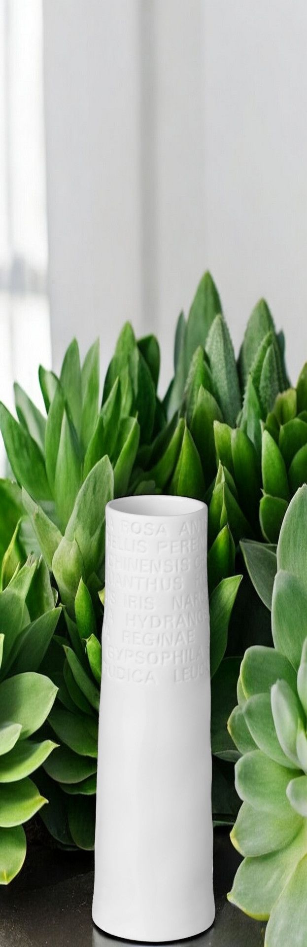 Home Room Poetry Vase small Räder SINGLE PIECES
