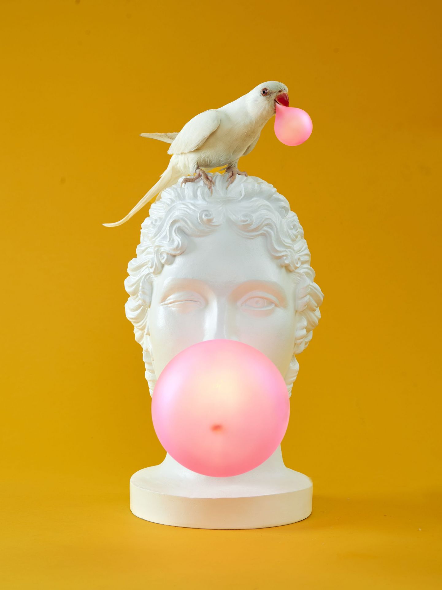 Grace Lamp Seletti 