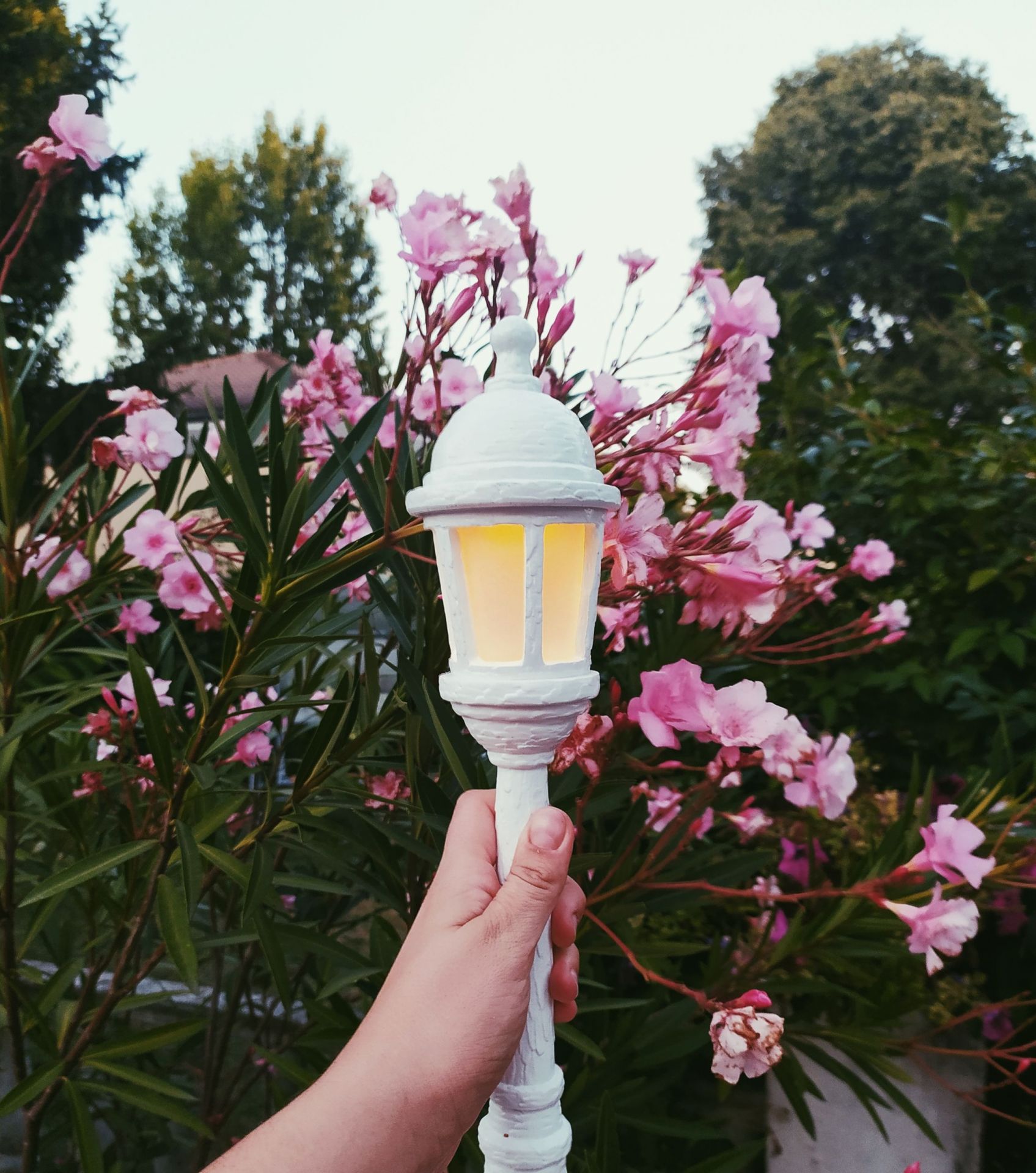 Street Lamp Dining rechargeable table lamp Seletti SINGLE PIECES