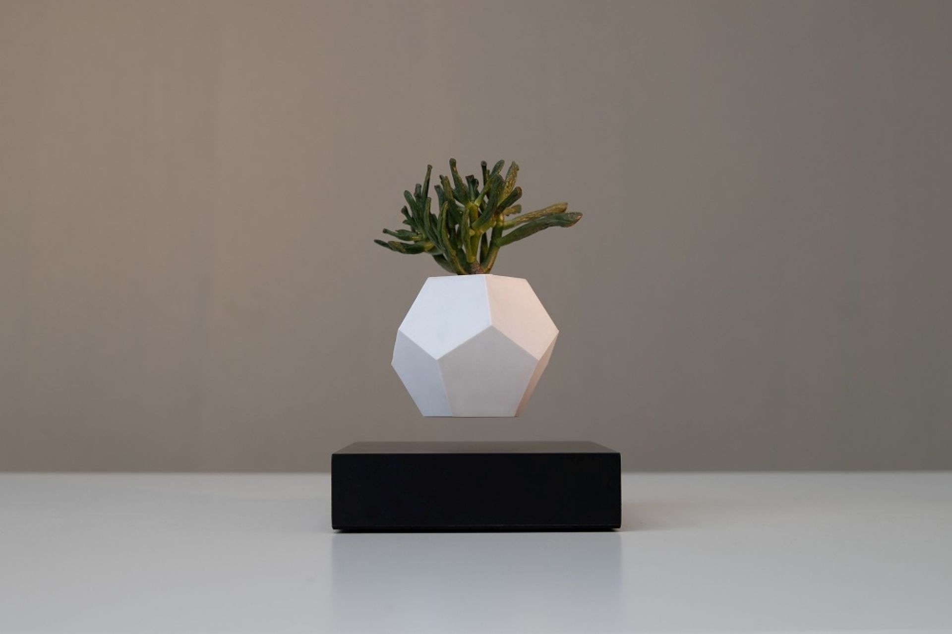 Lyfe floating Vase Klein & More Maple black SINGLE PIECES