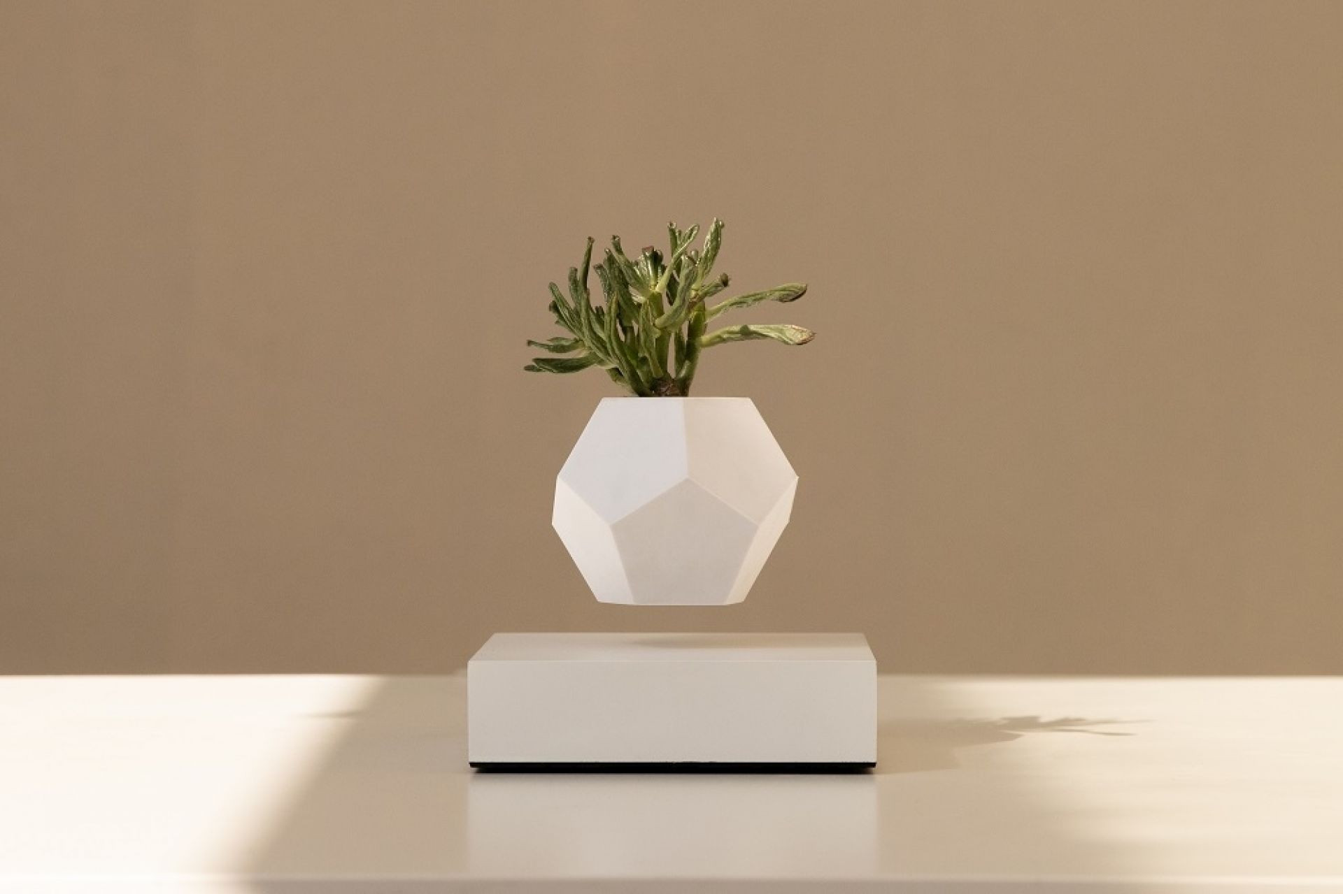 Lyfe floating Vase Klein & More Maple white SINGLE PIECES