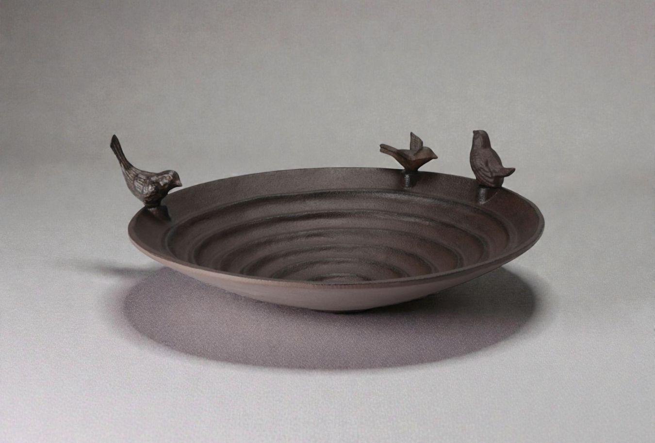 Pool bird bath Philippi