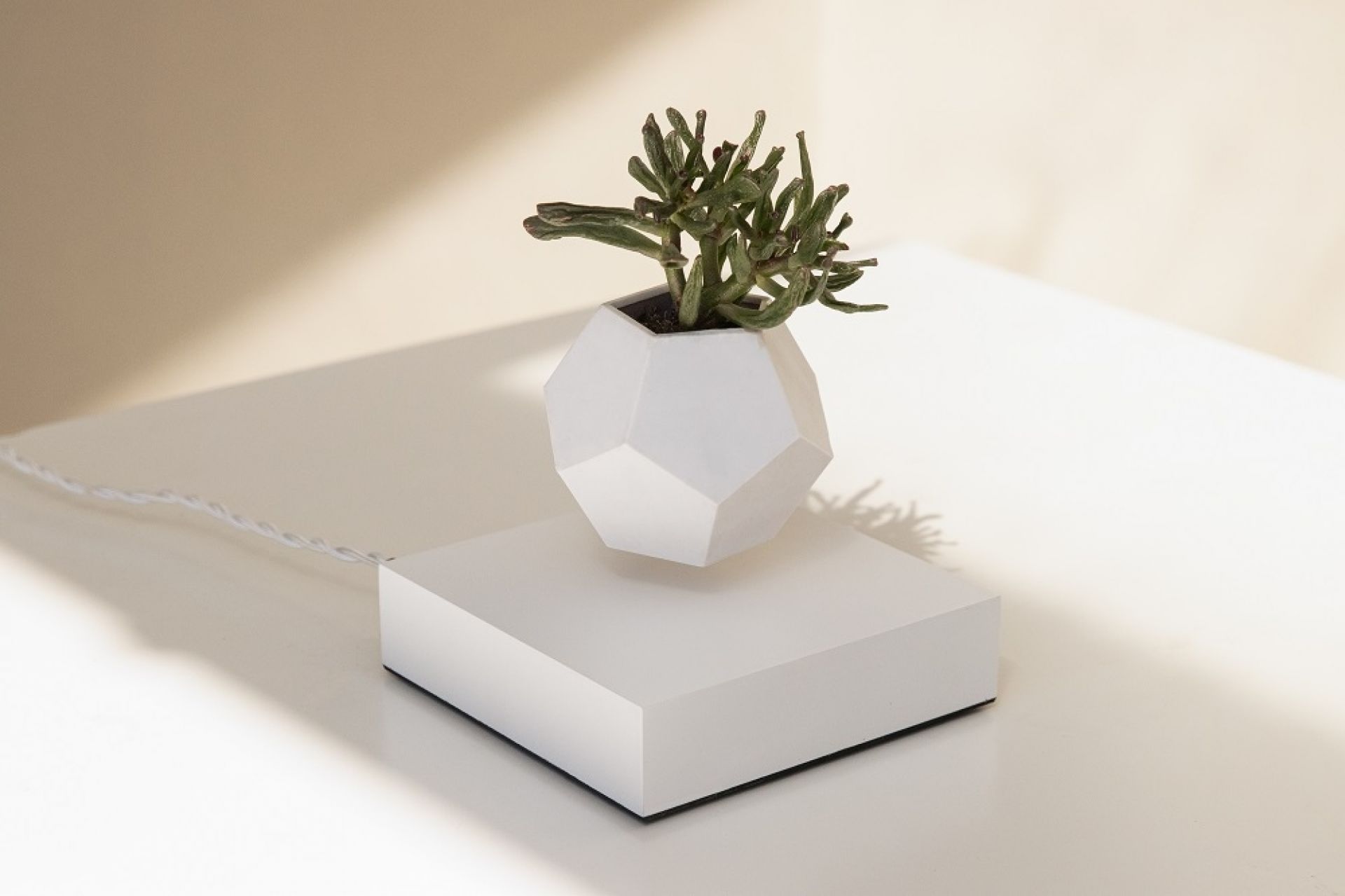 Lyfe floating Vase Klein & More Maple white SINGLE PIECES