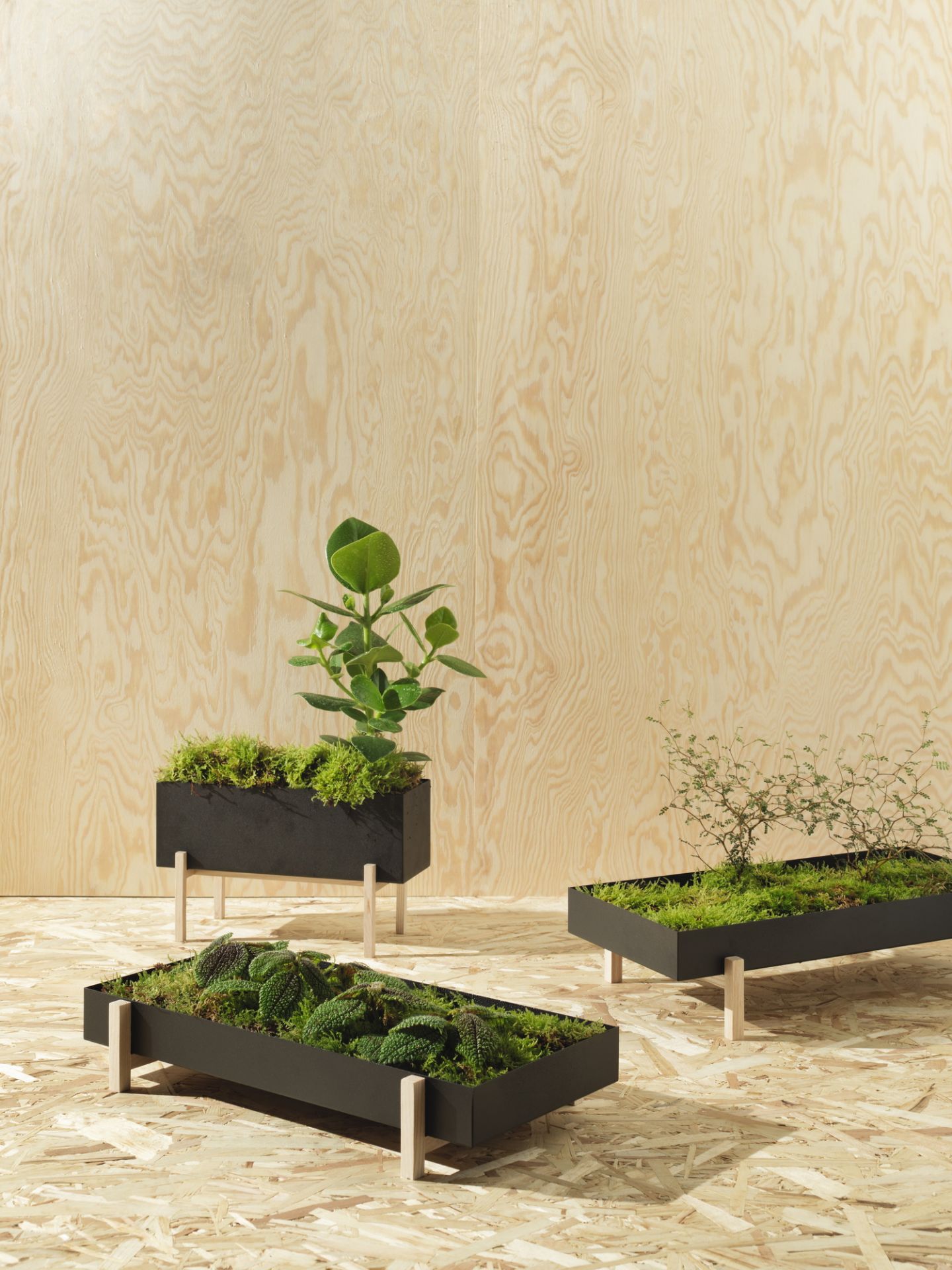 Botanic herb box Design House Stockholm SINGLE PIECES