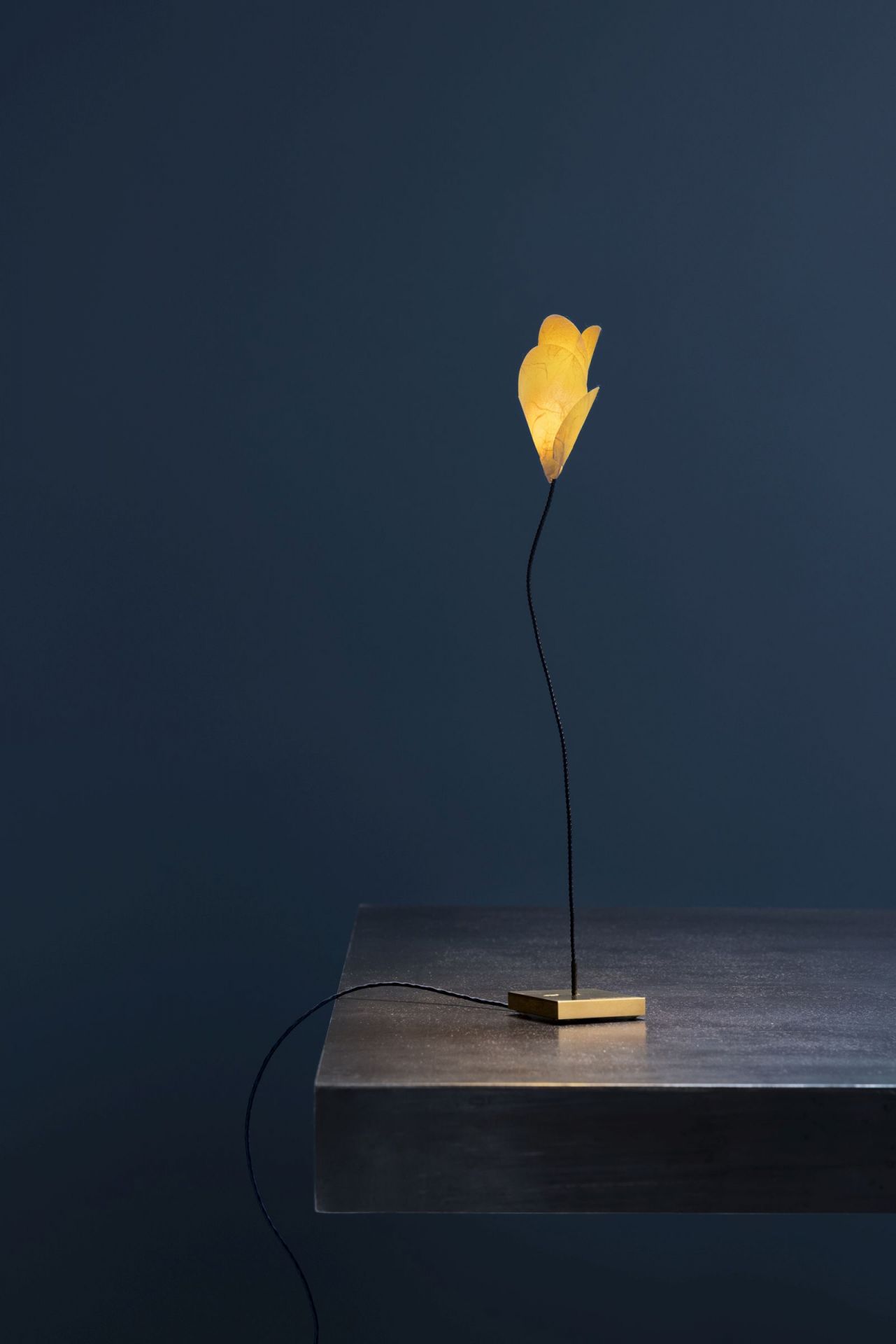 For You USB table lamp Catellani & Smith