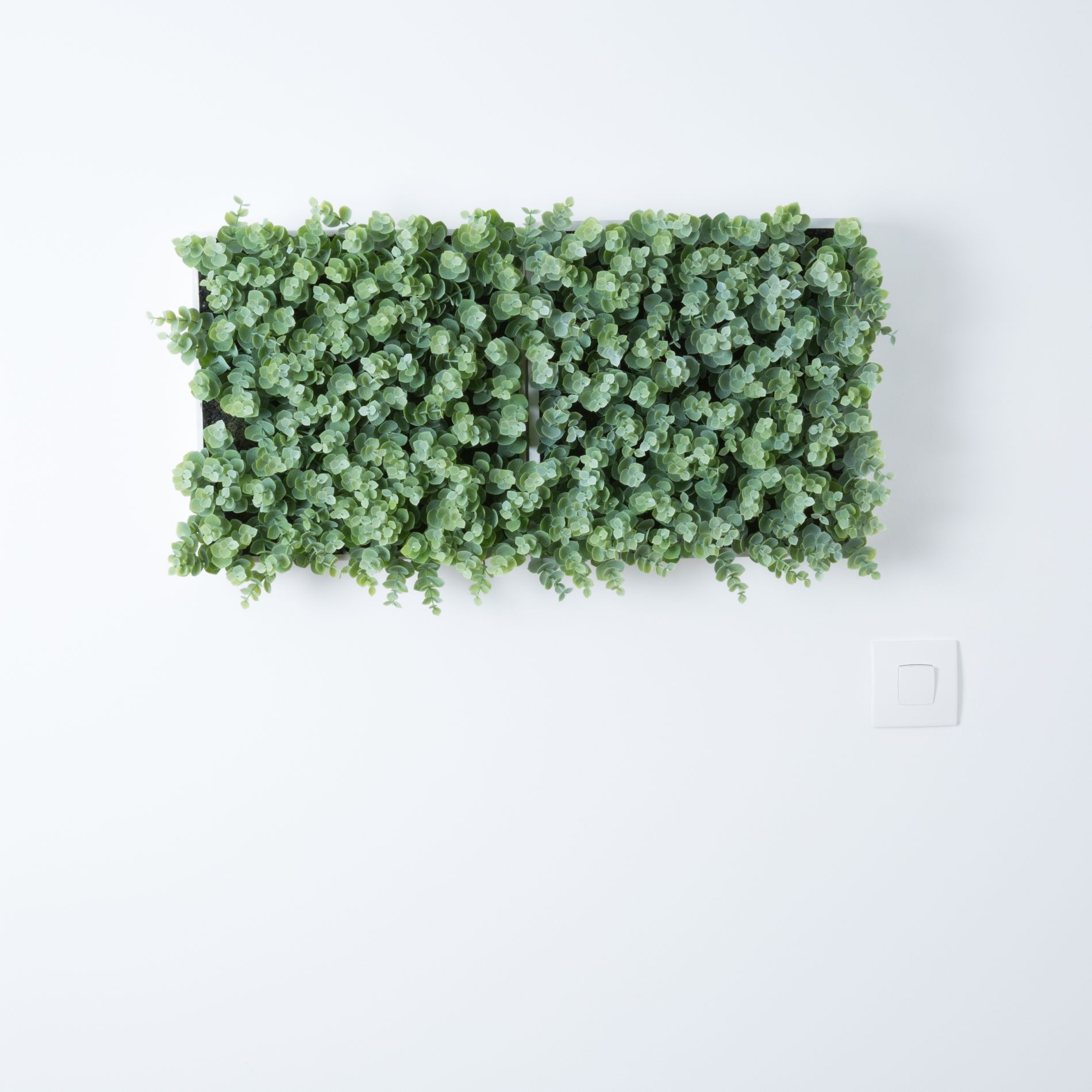 Copenhague Eucalyptus Framework (Plant Frame) Artificial Plant Tanama 