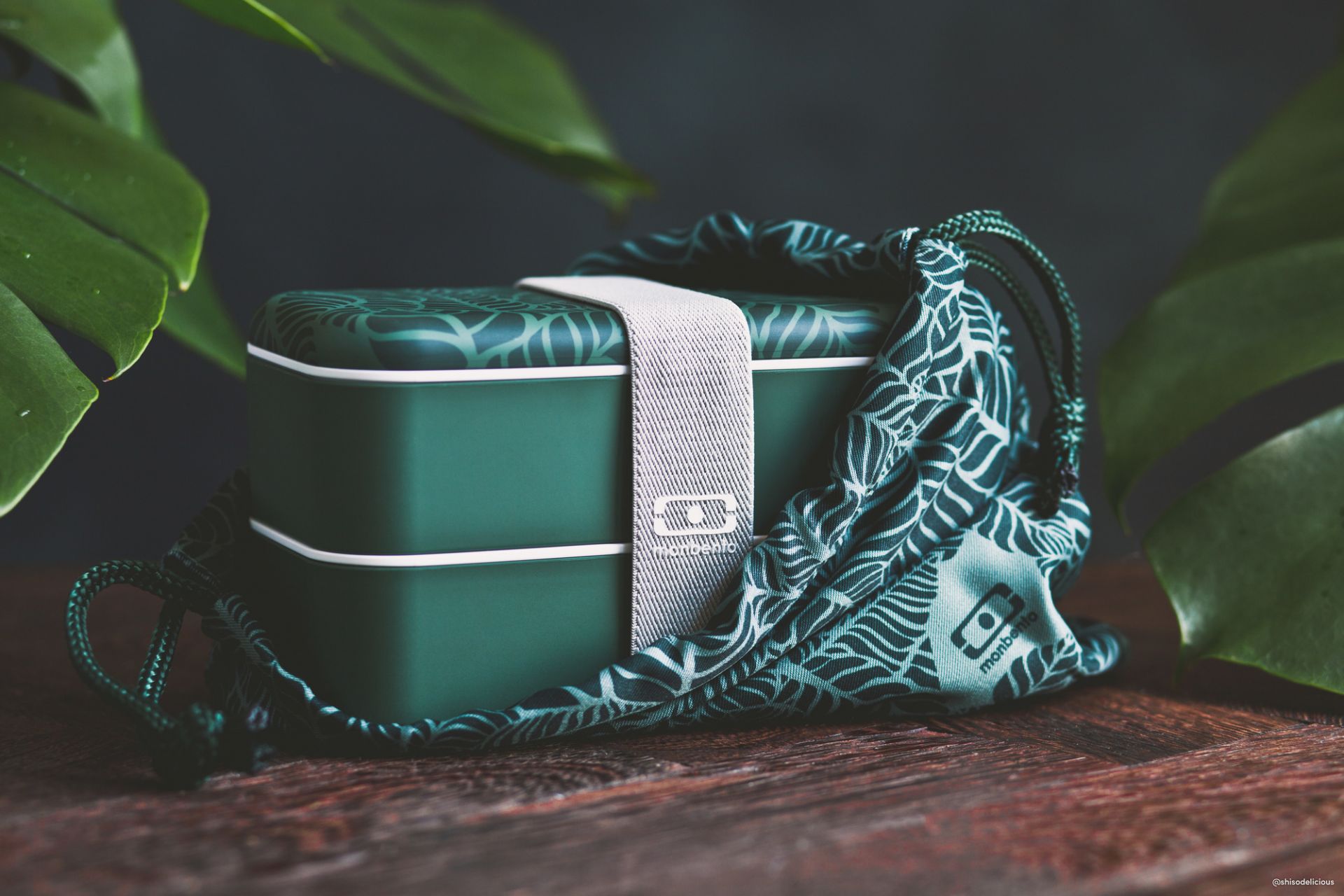 https://www.einrichten-design.com/thumbnail/58/g0/ed/1597860094/Monbento%20MB%20Original%20Jungle%20Lunch%20Box%209_1920x1920.jpg