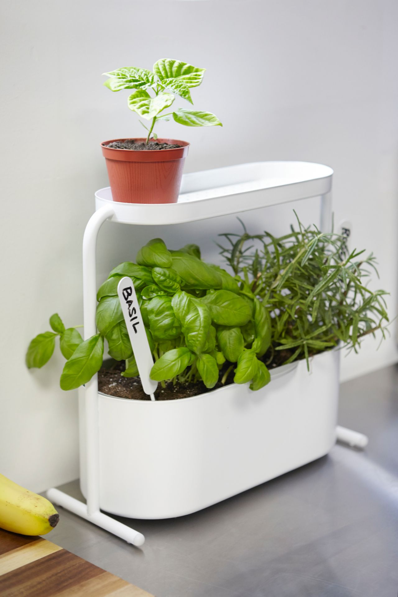 Giardino Herbal pot Umbra SINGLE PIECES