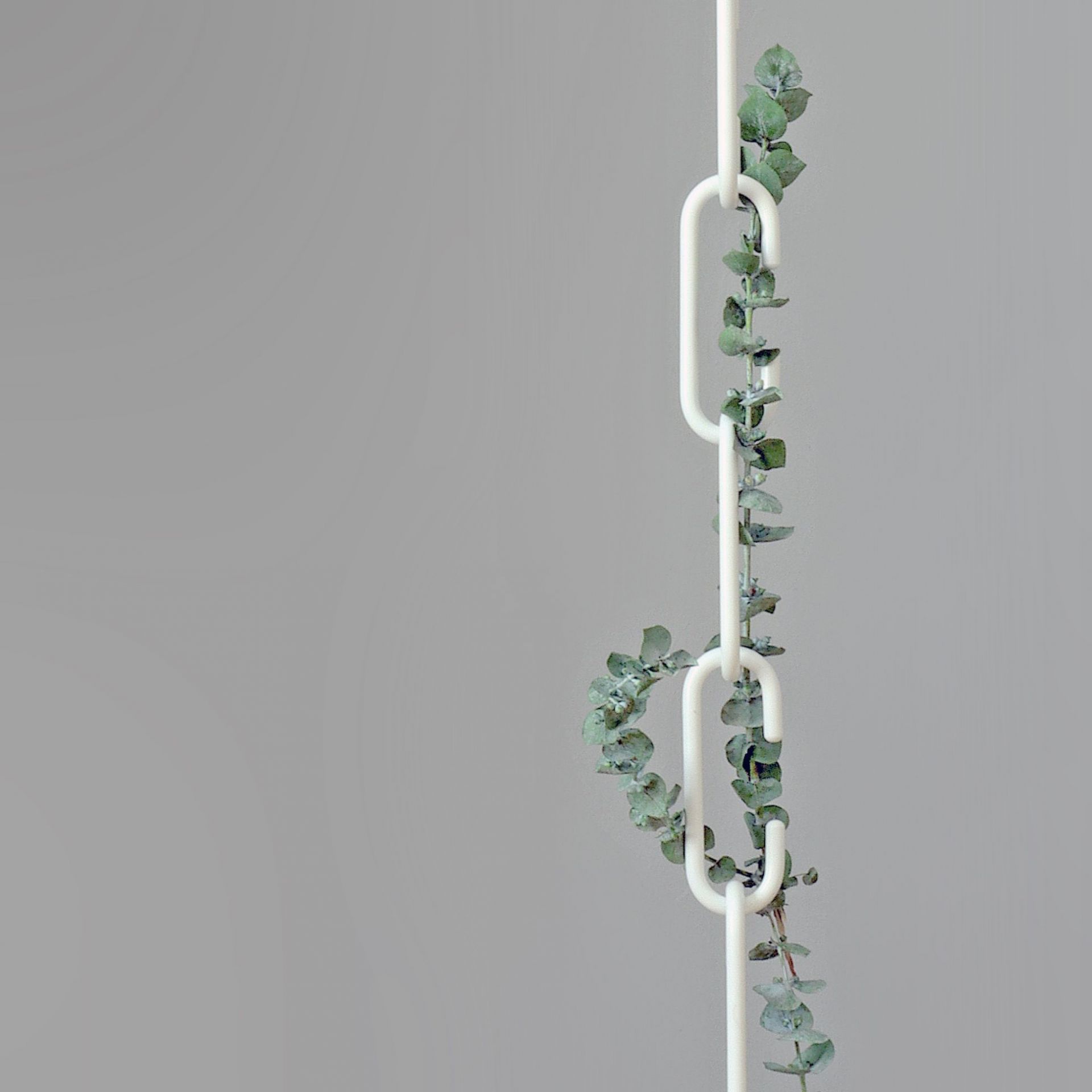 C + C Hook black Roomsafari