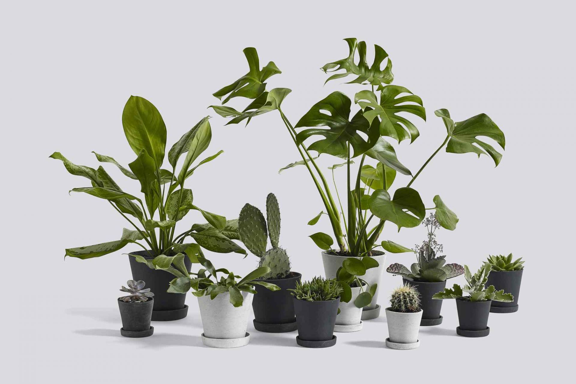 Flowerpot with Saucer M Hay