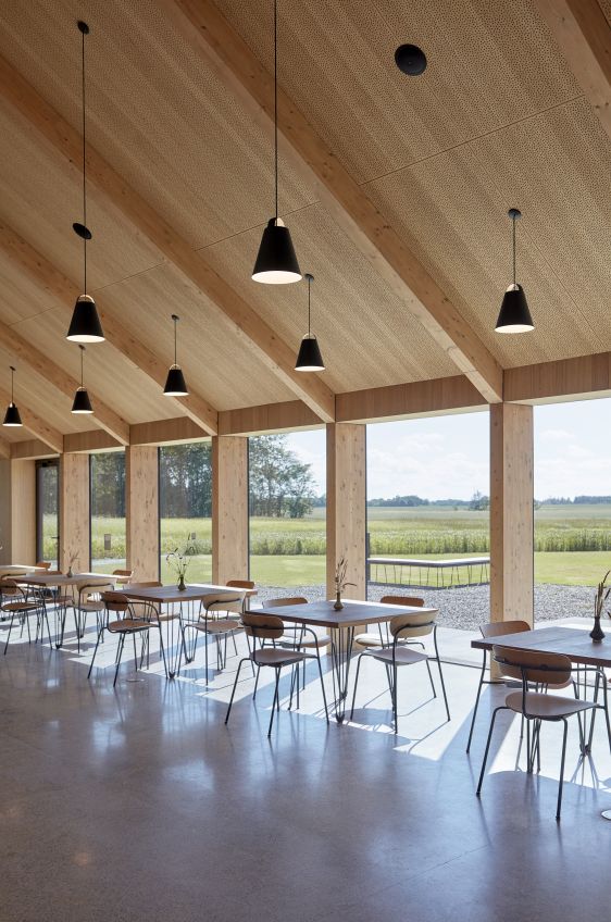 Above Pendant lamp Louis Poulsen