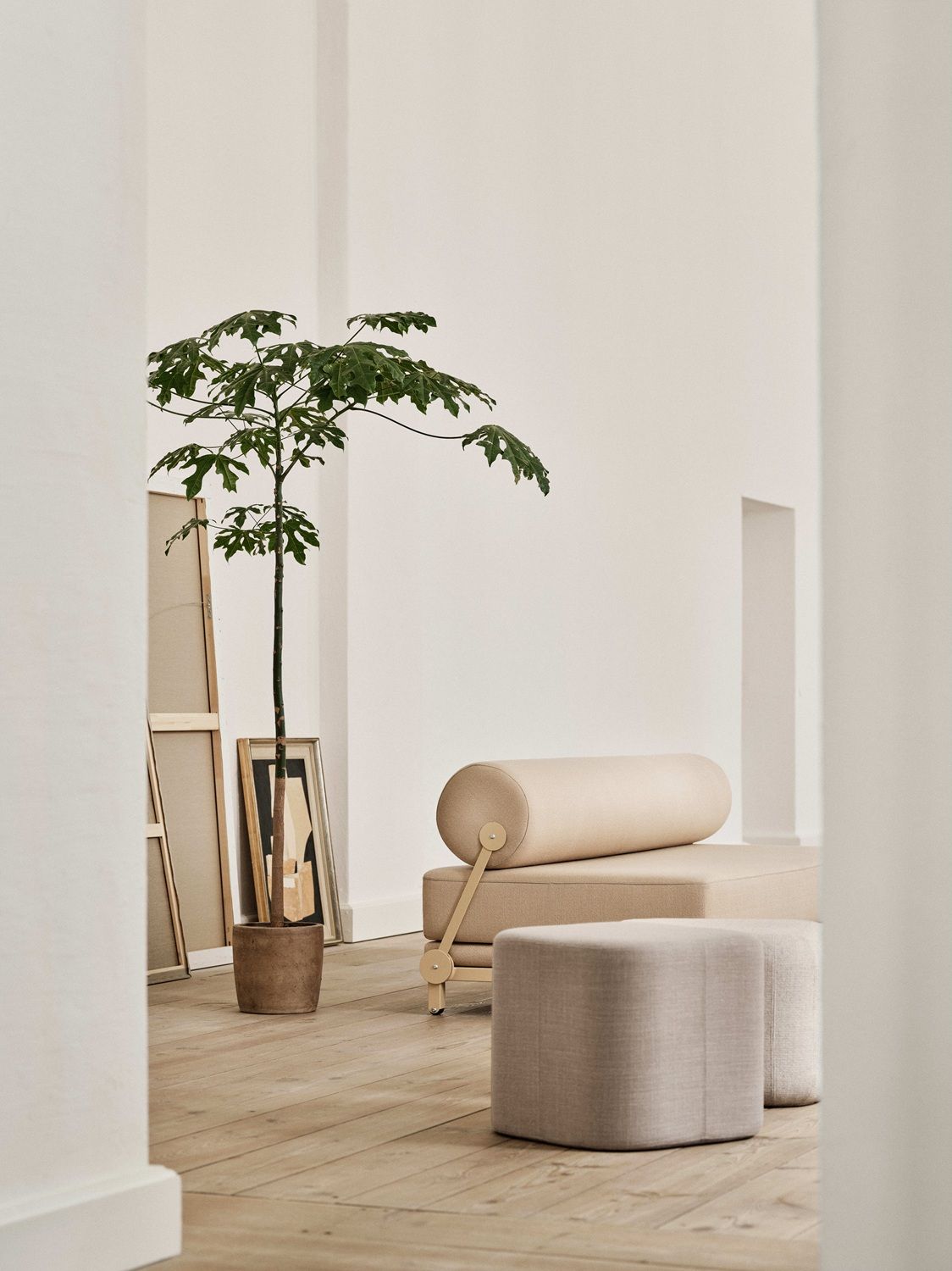 SLEEP Sofa / Sofa bed Softline