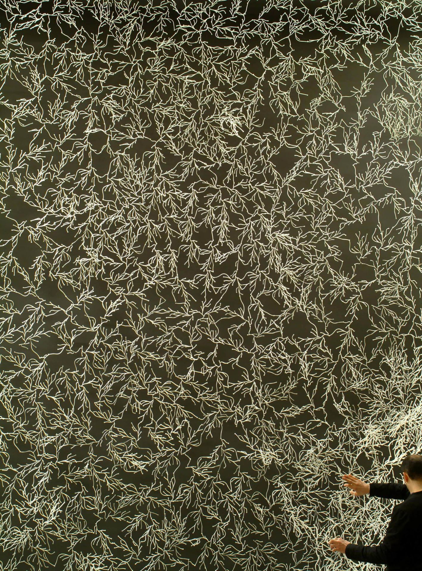 Algue Partition /Algae decorative elements Vitra