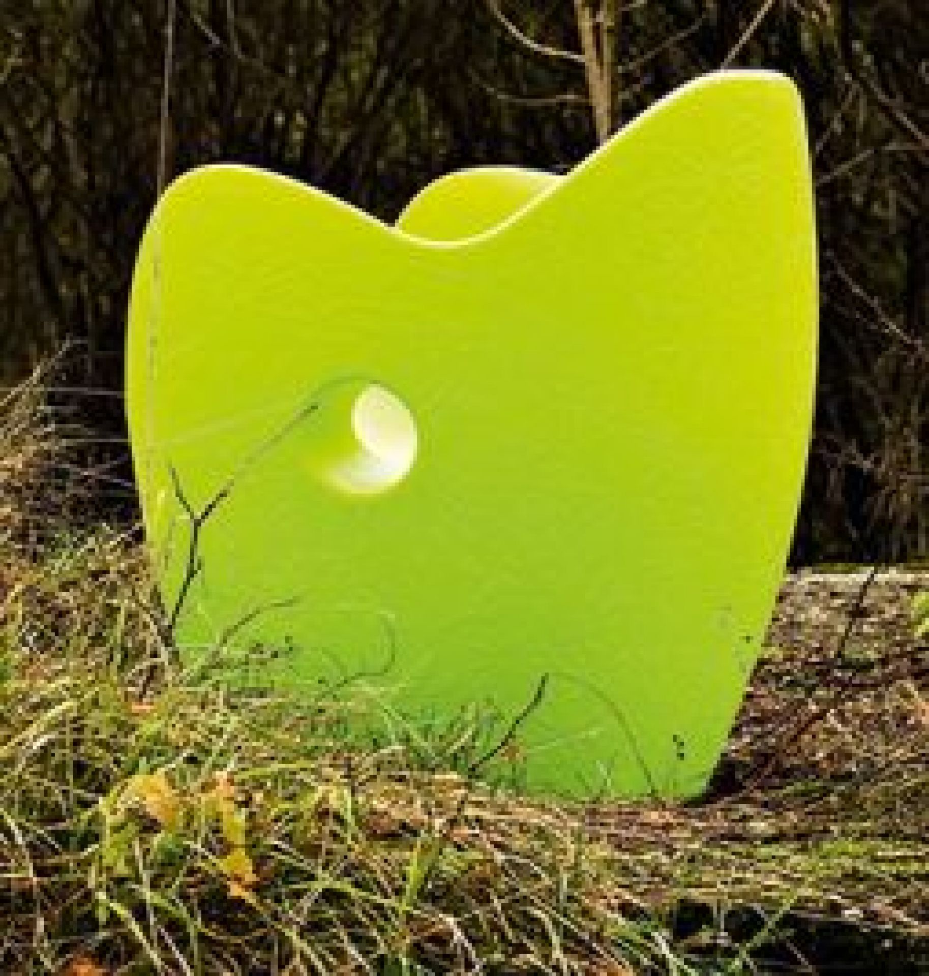 O-Nest Armchair cedrus Moroso