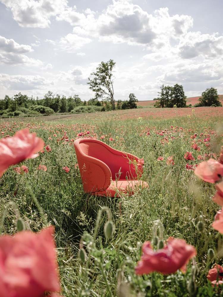 Ona 2020 Curved Armchair Freifrau Manufaktur