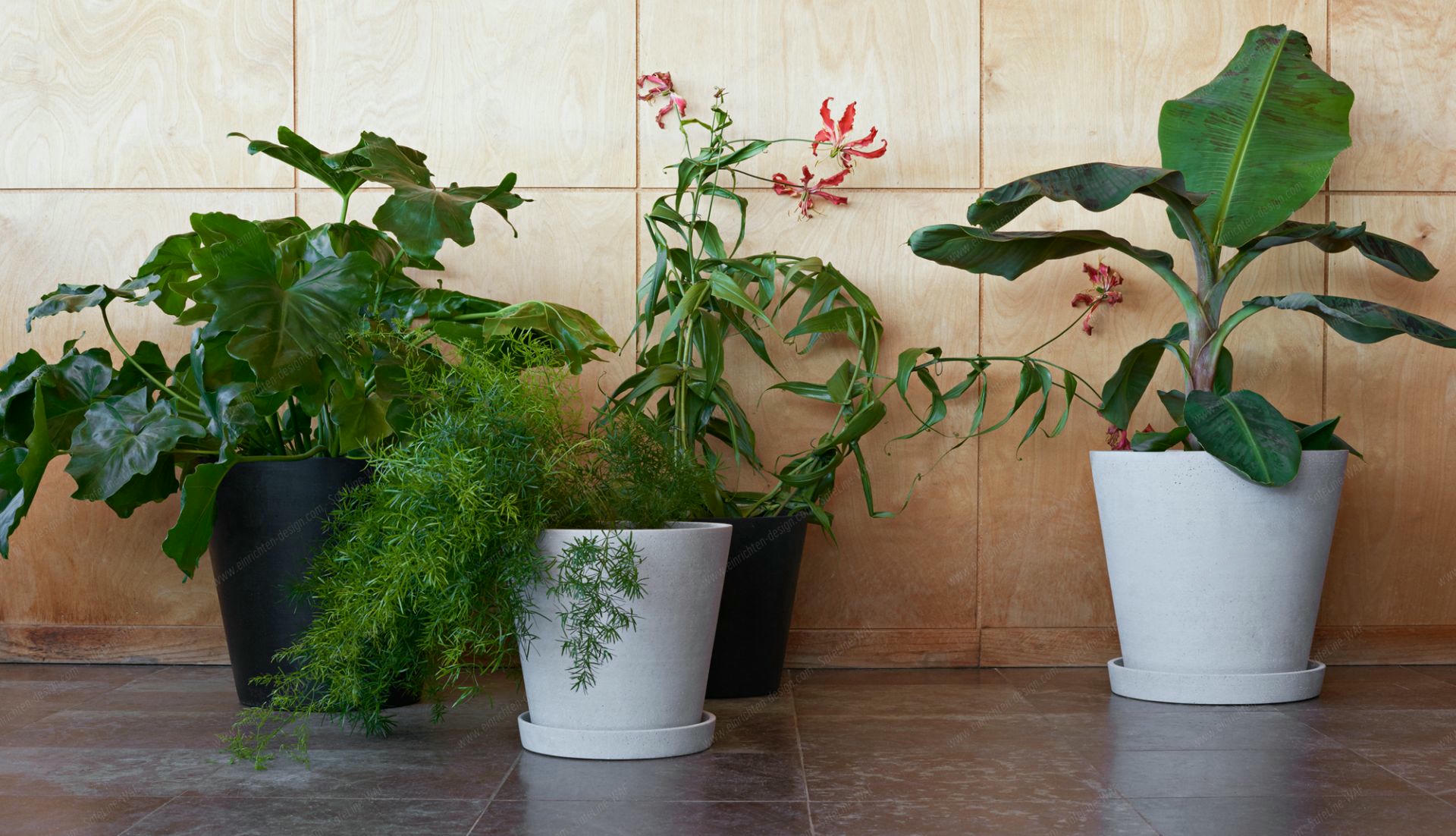 Flowerpot with saucer XXXL Hay