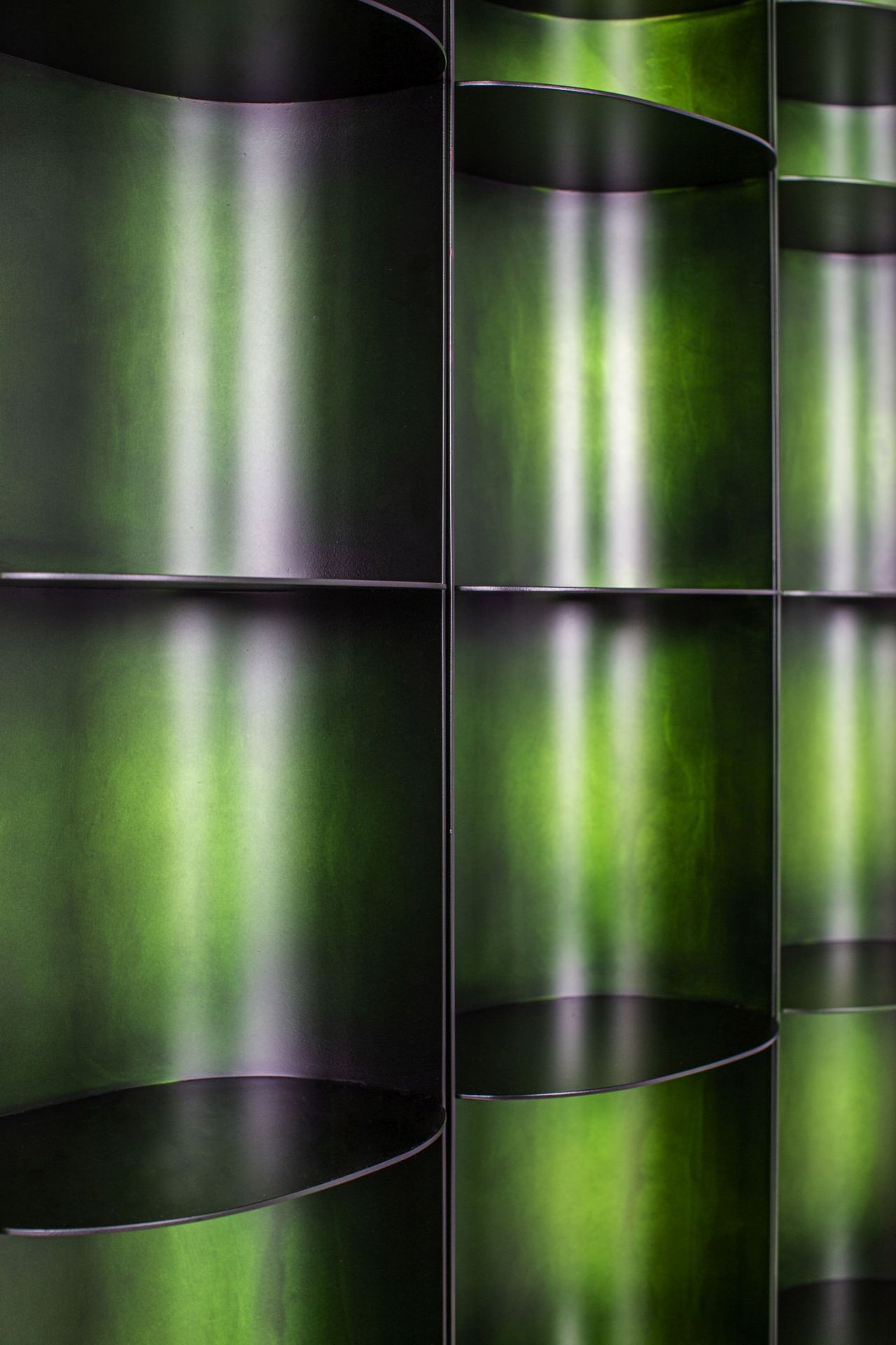 Como shelf Pulpo