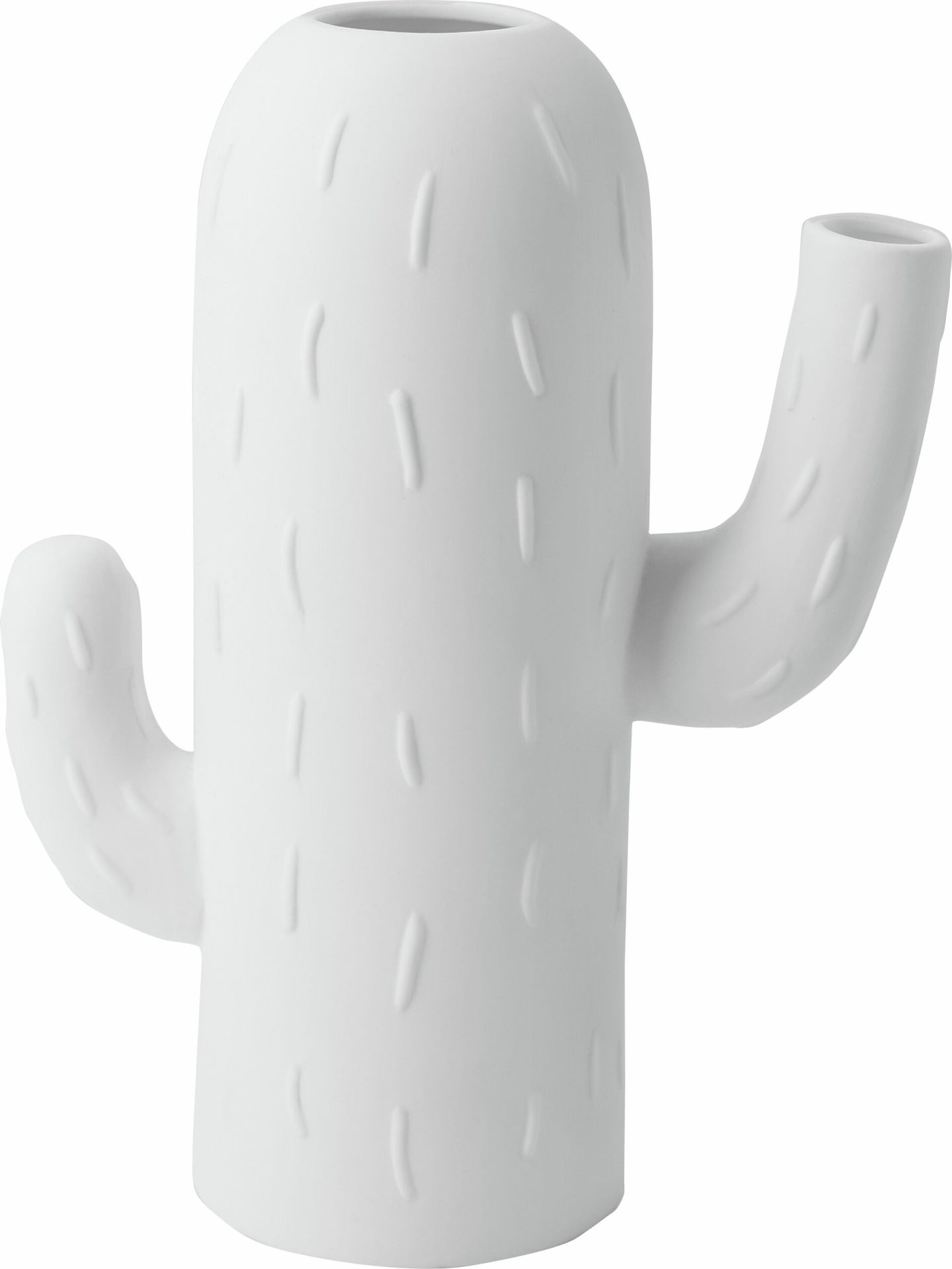 Cactus vase columnar cactus wheels